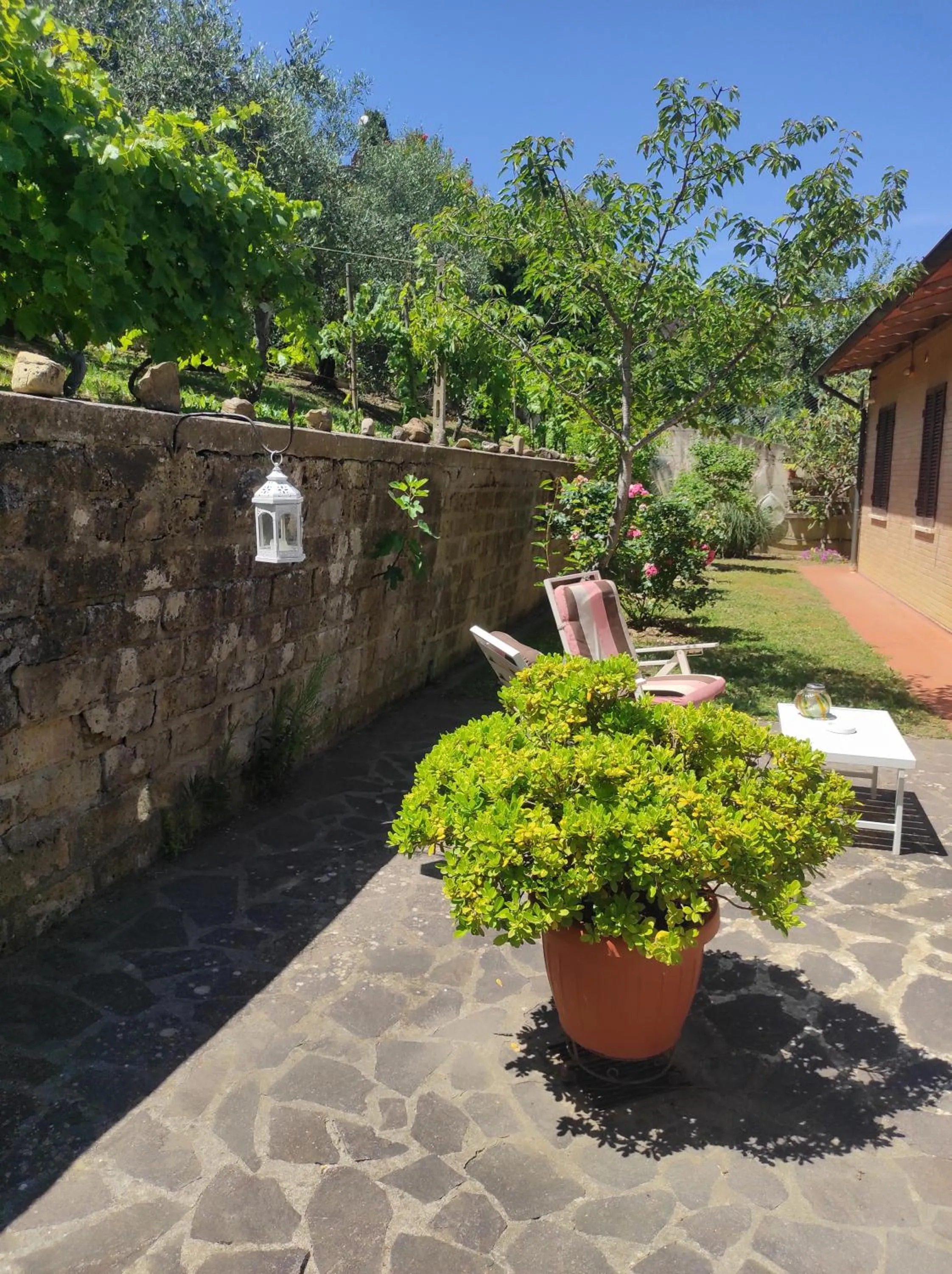 Affittacamere Casa Mac & Rose