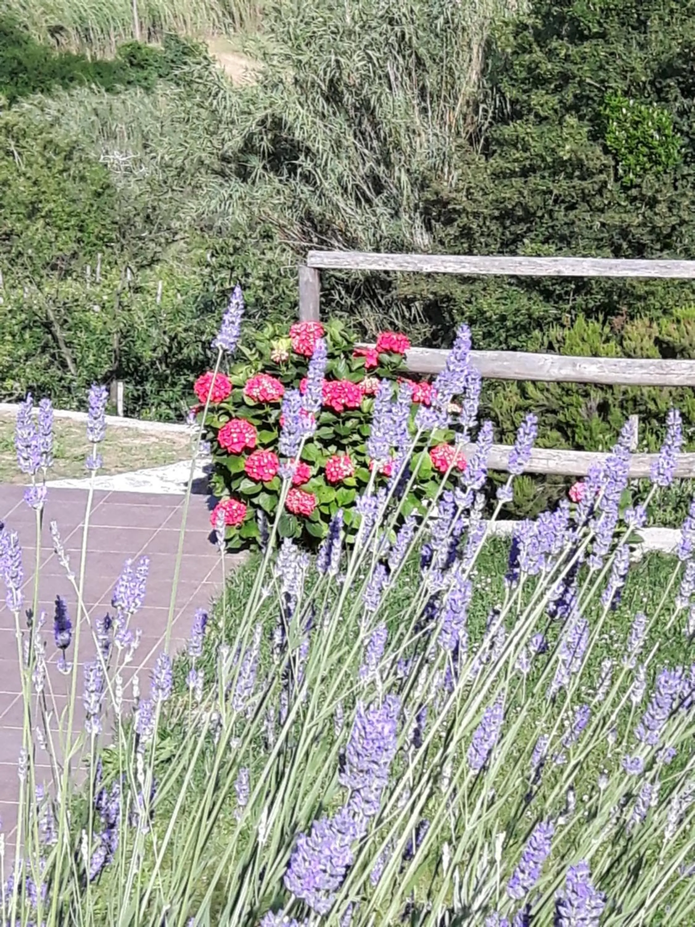 Garden in Ort holiday's time