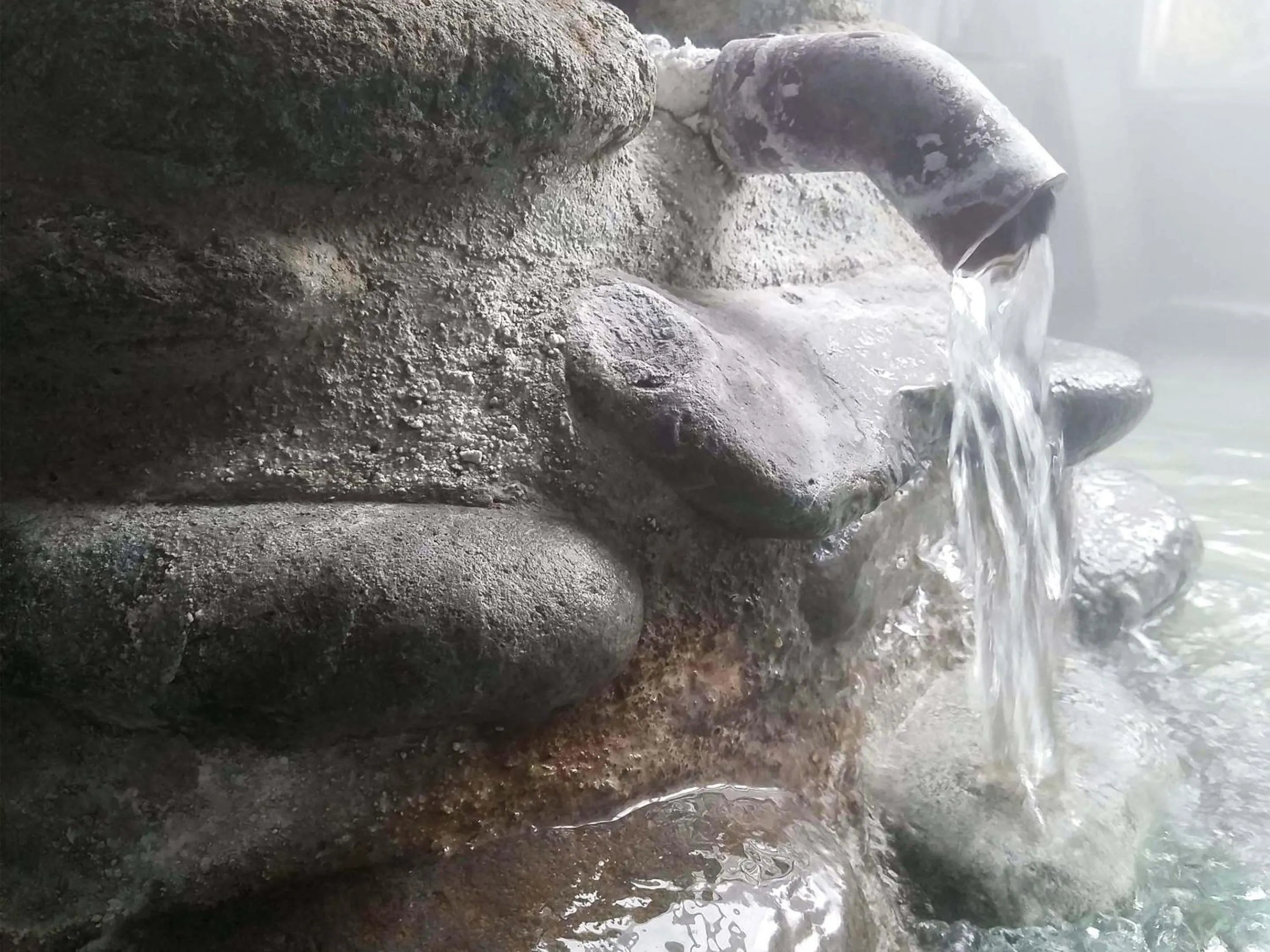 Hot Spring Bath in Hotel Uguisu