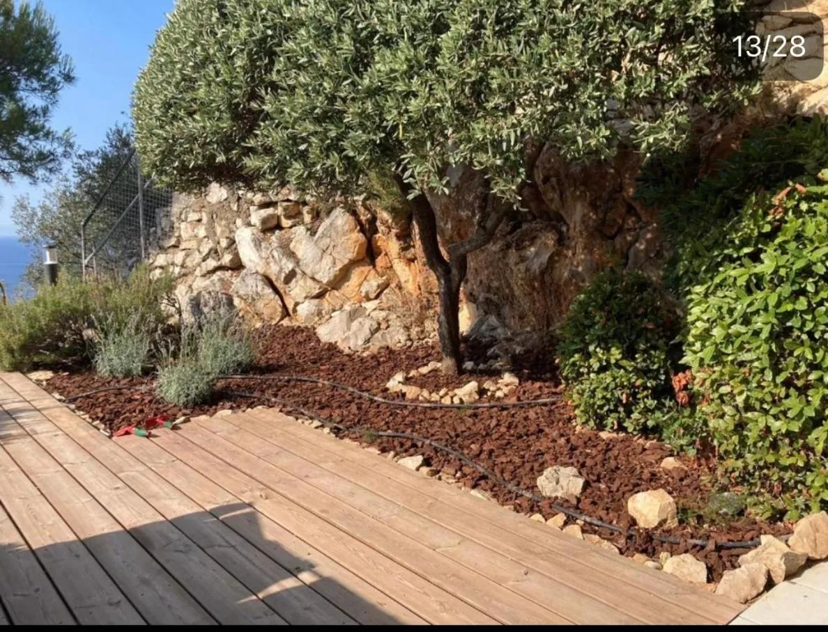 Sunny Home Costa Plana-Monaco -Cap D'Ail