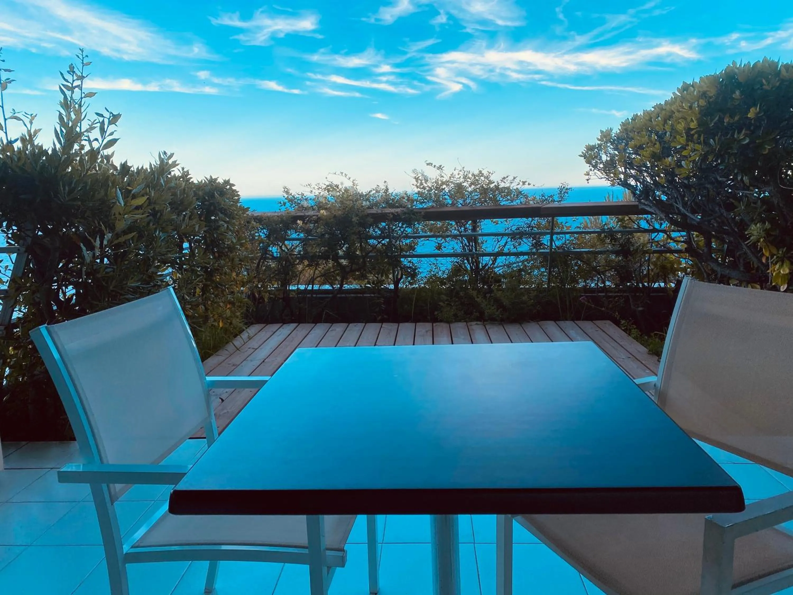 Sunny Home Costa Plana-Monaco -Cap D'Ail