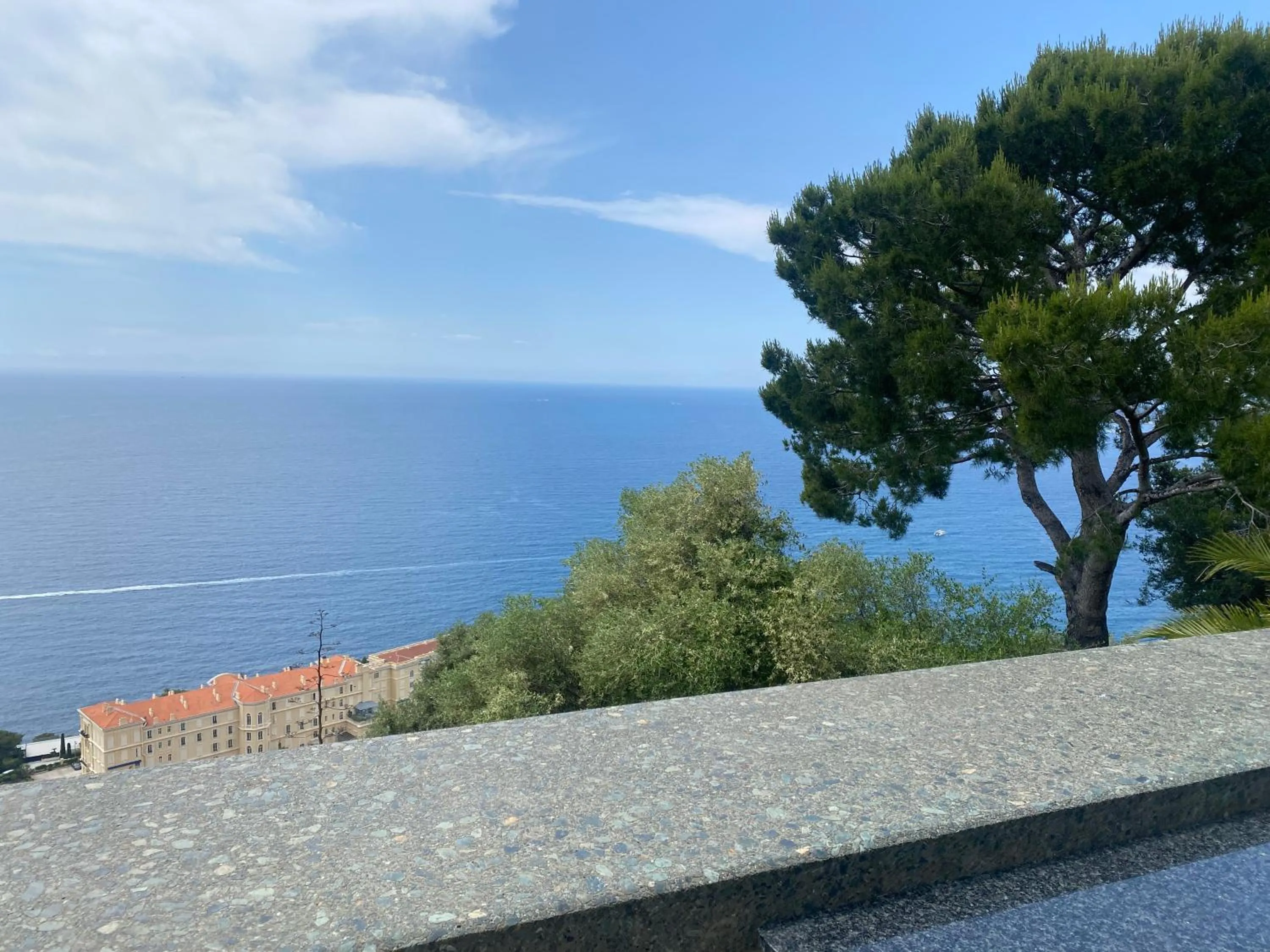 Sea view in Sunny Home Costa Plana-Monaco -Cap D'Ail
