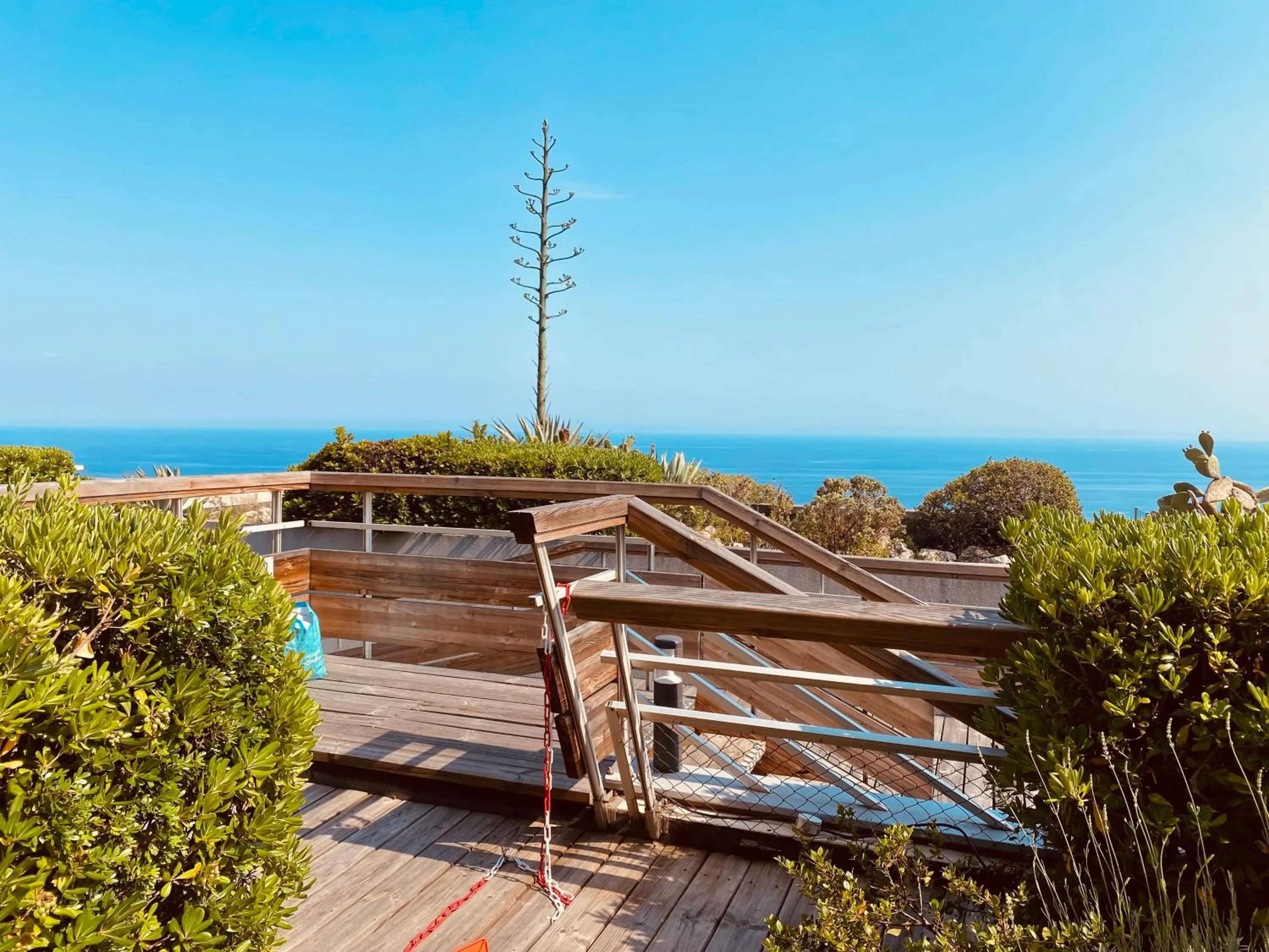 Sunny Home Costa Plana-Monaco -Cap D'Ail