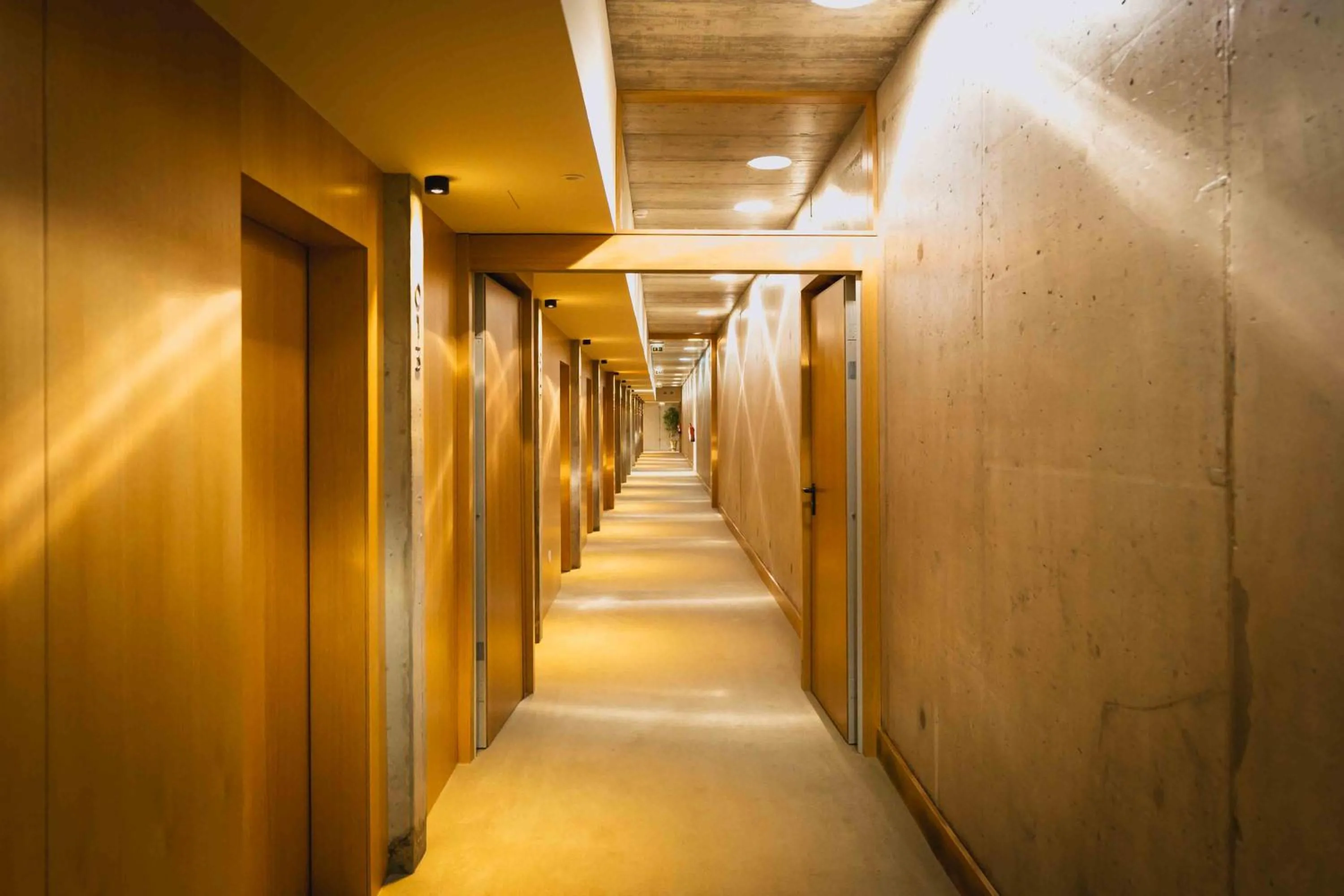 Property building in Borralha Hotel, Restaurante & Spa