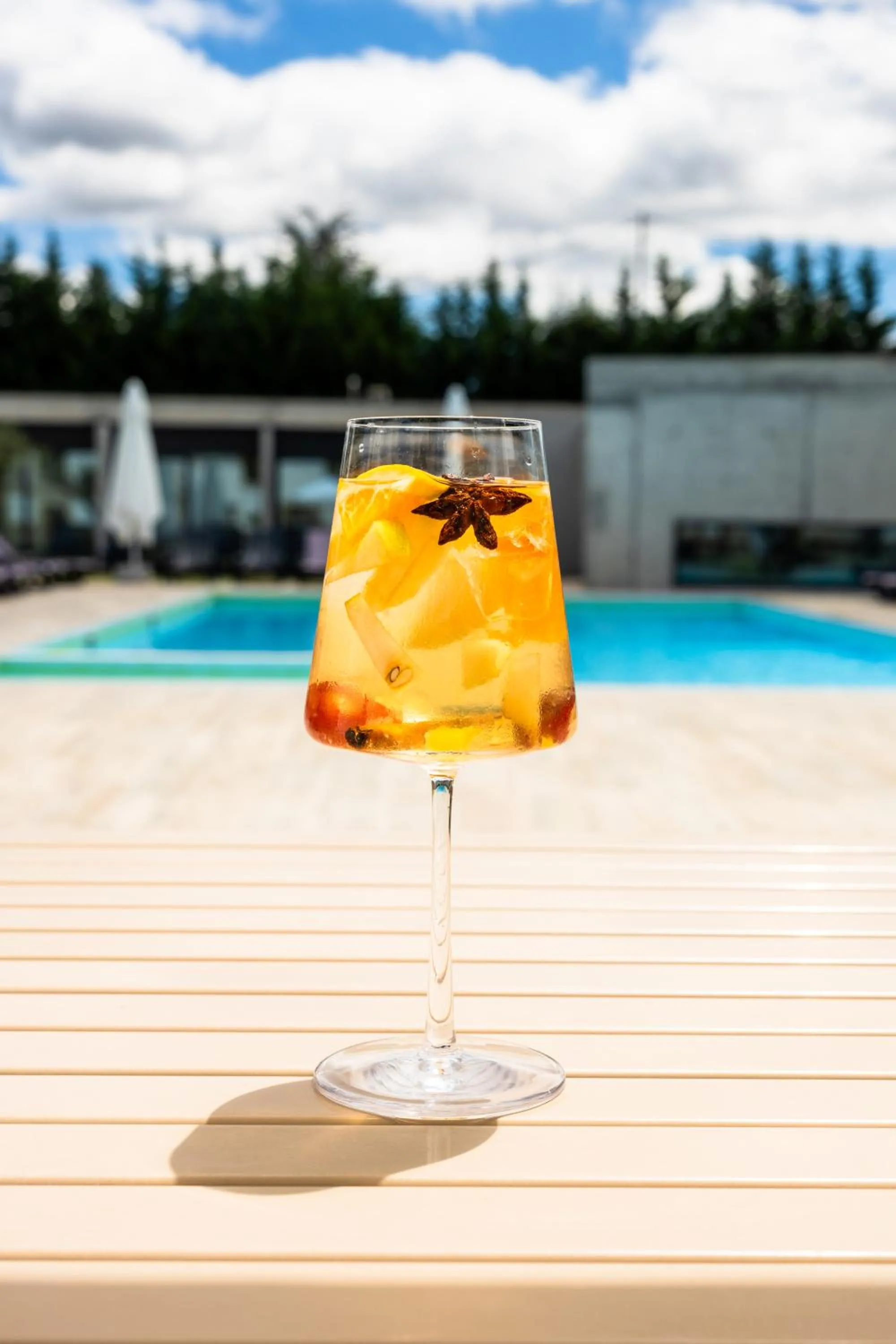 Pool view in Borralha Hotel, Restaurante & Spa