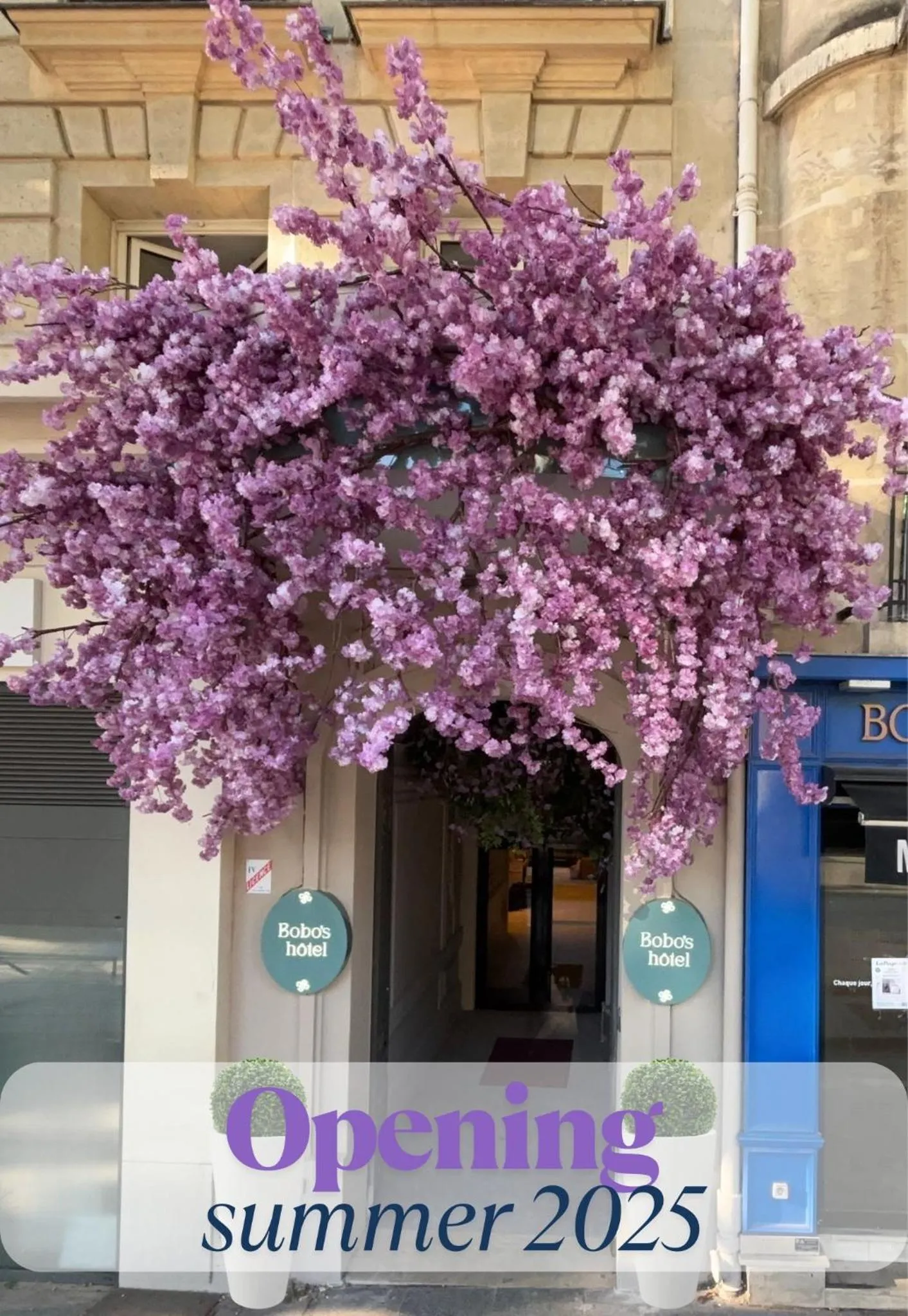 Property building in Bobo's hotel