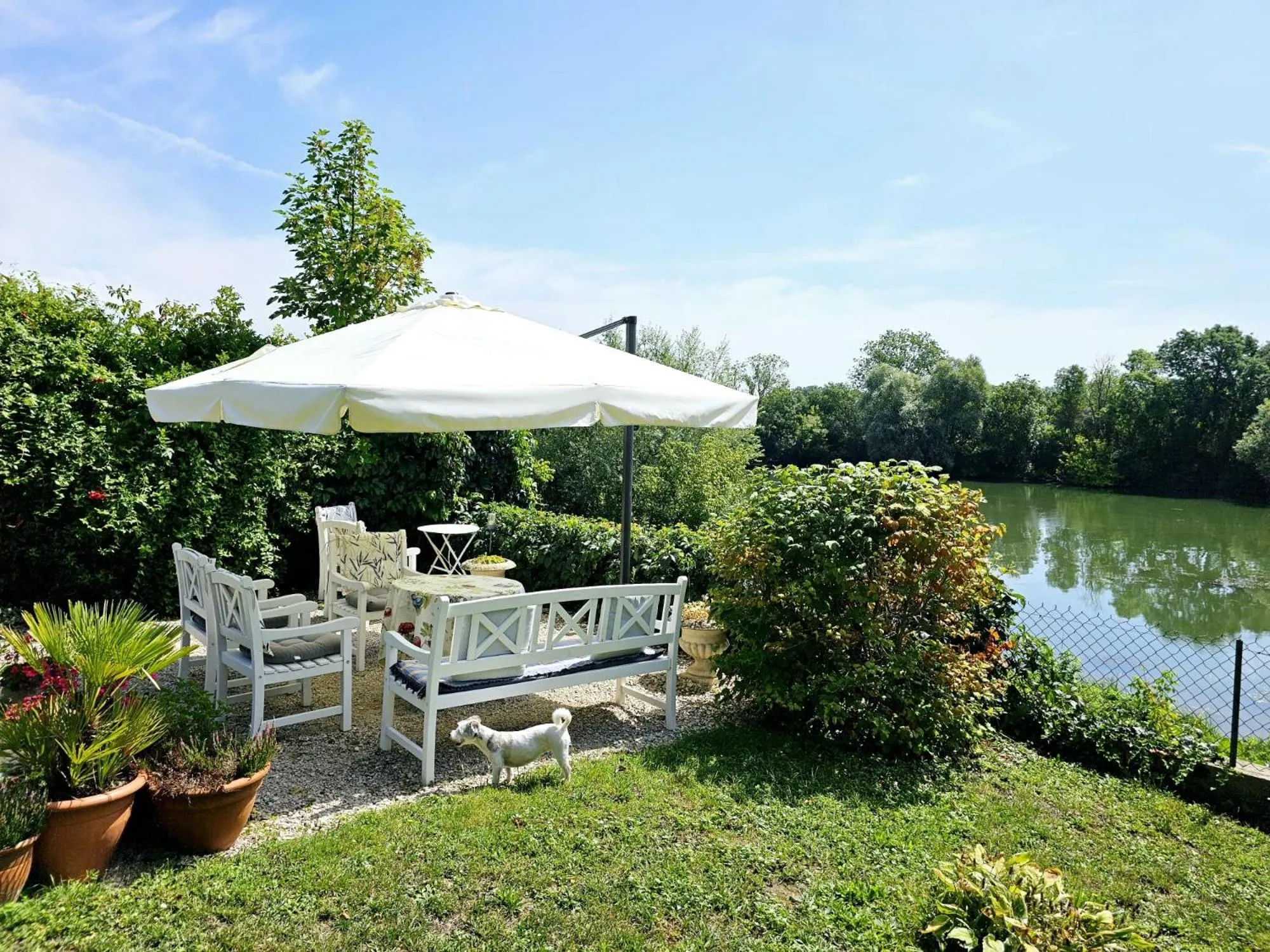 Garden in Jan's place in Burgundy