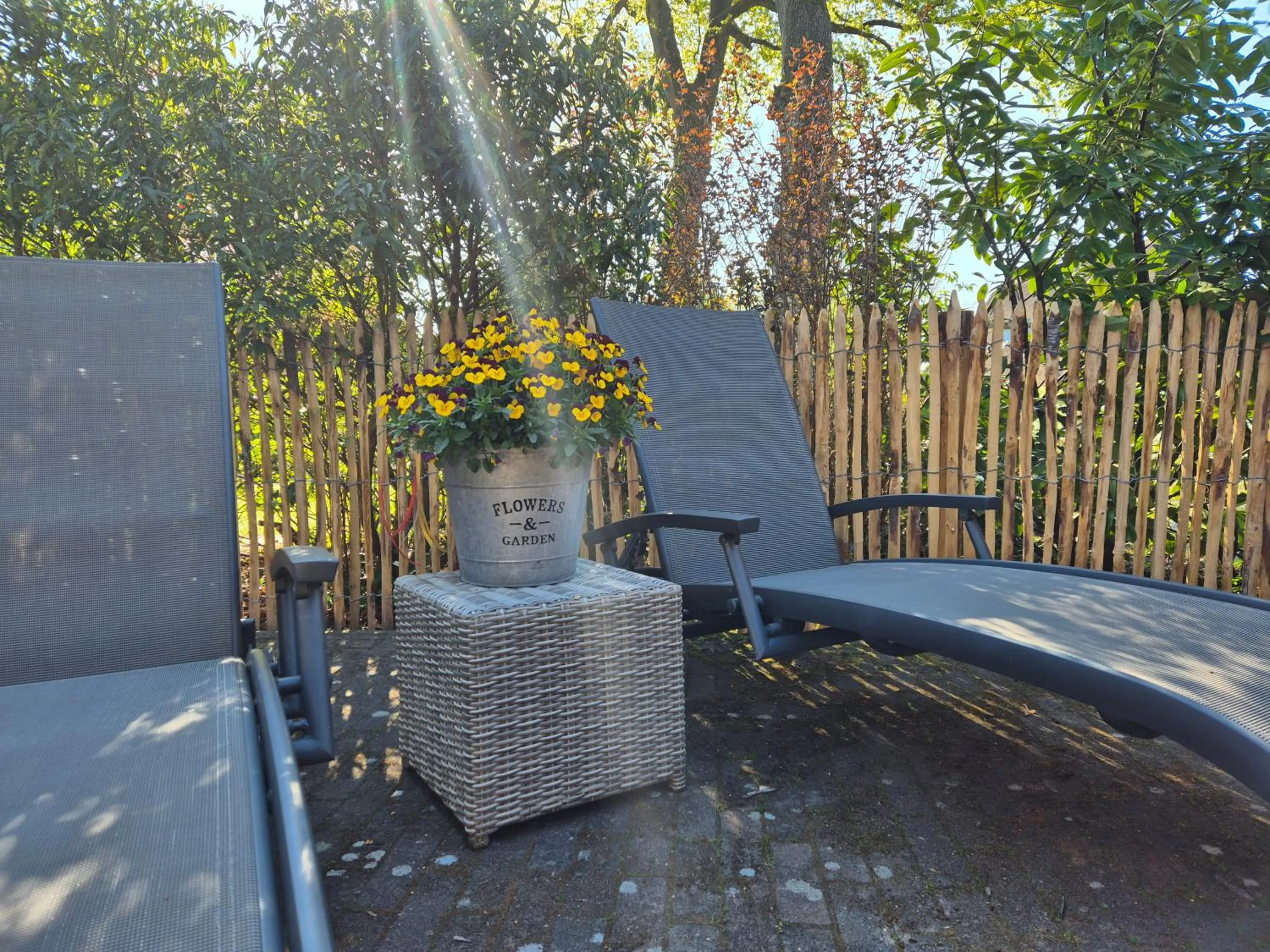 Bed en Breakfast Gees