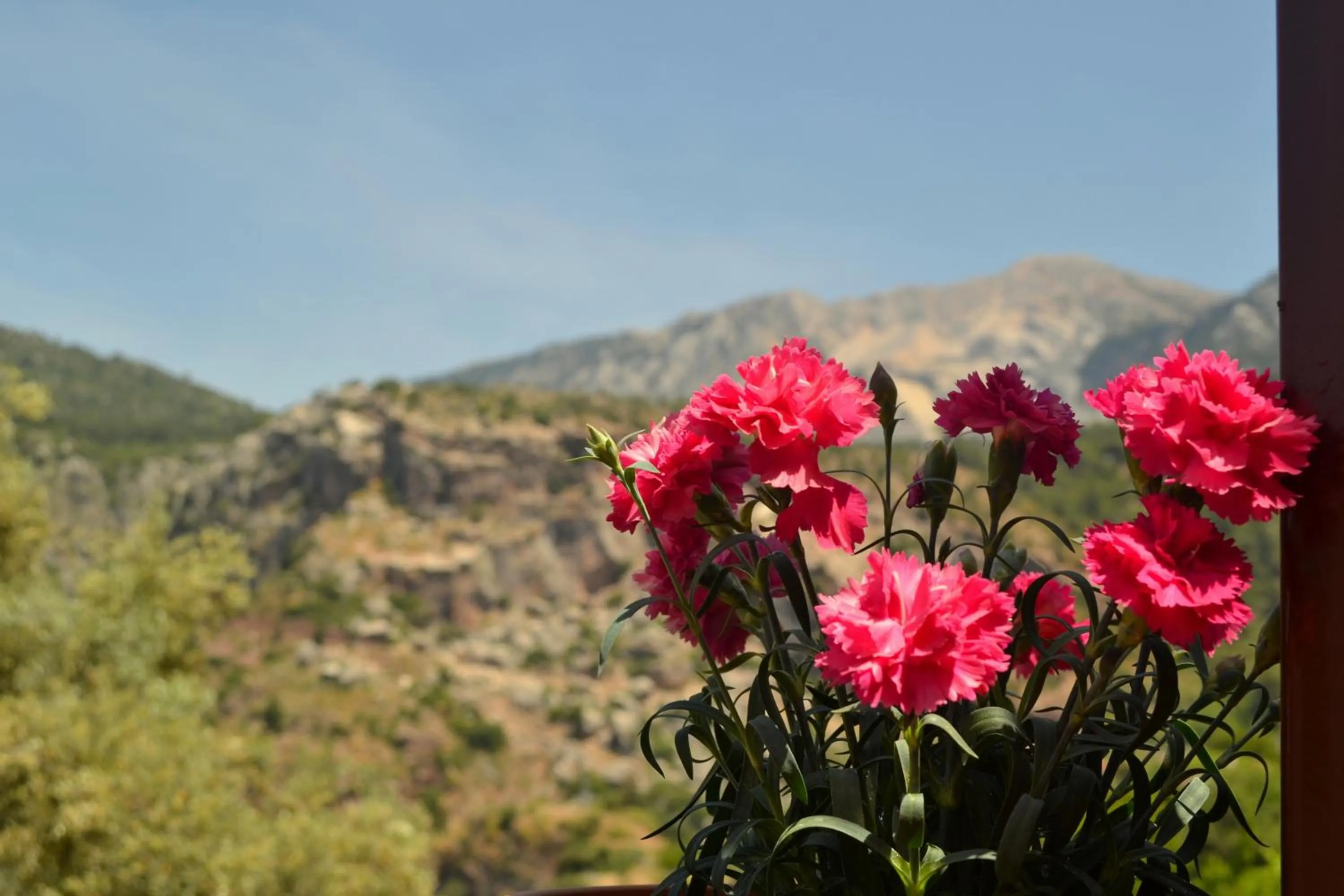 Mountain view in Faralya Misafir Evi