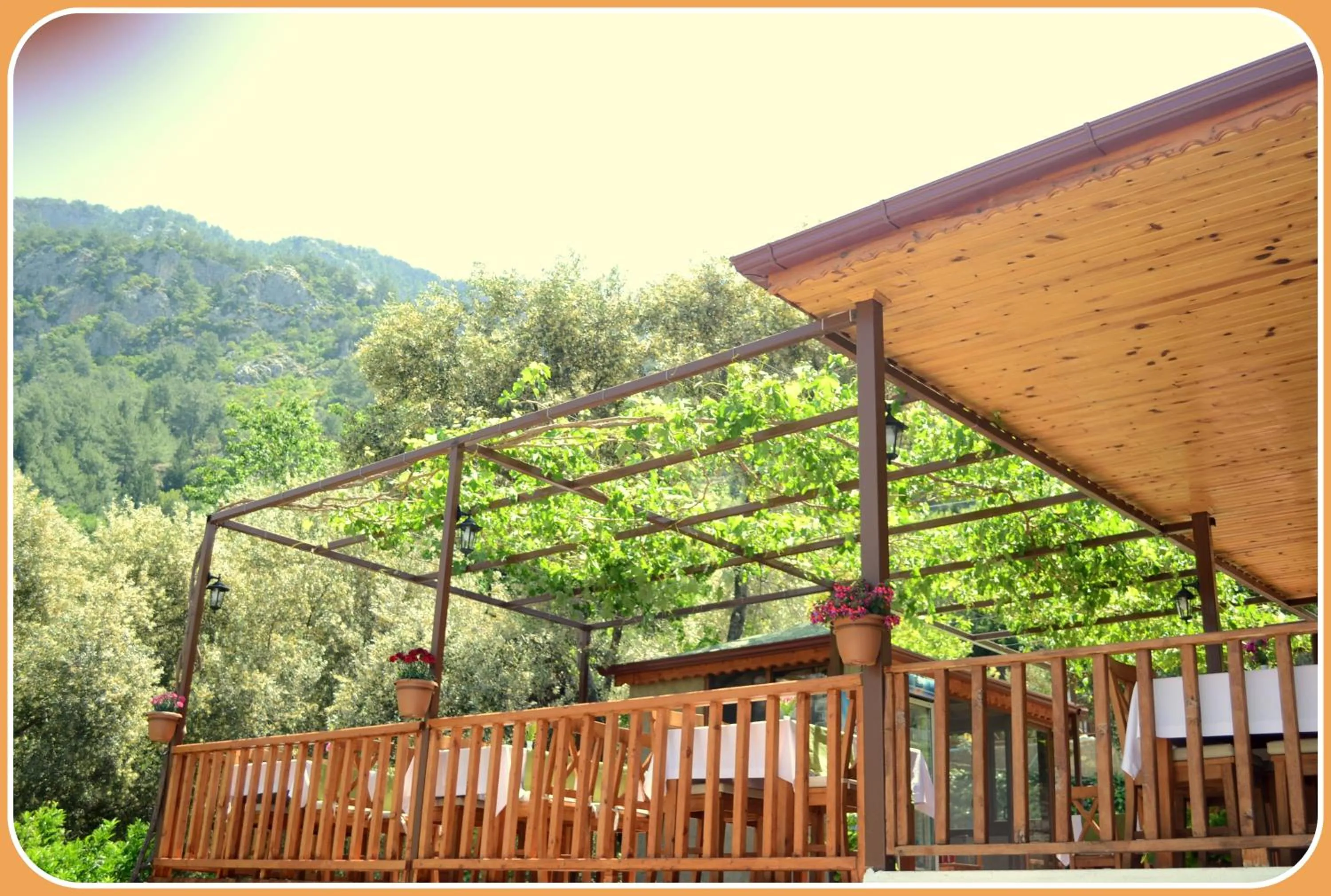 Restaurant/places to eat in Faralya Misafir Evi