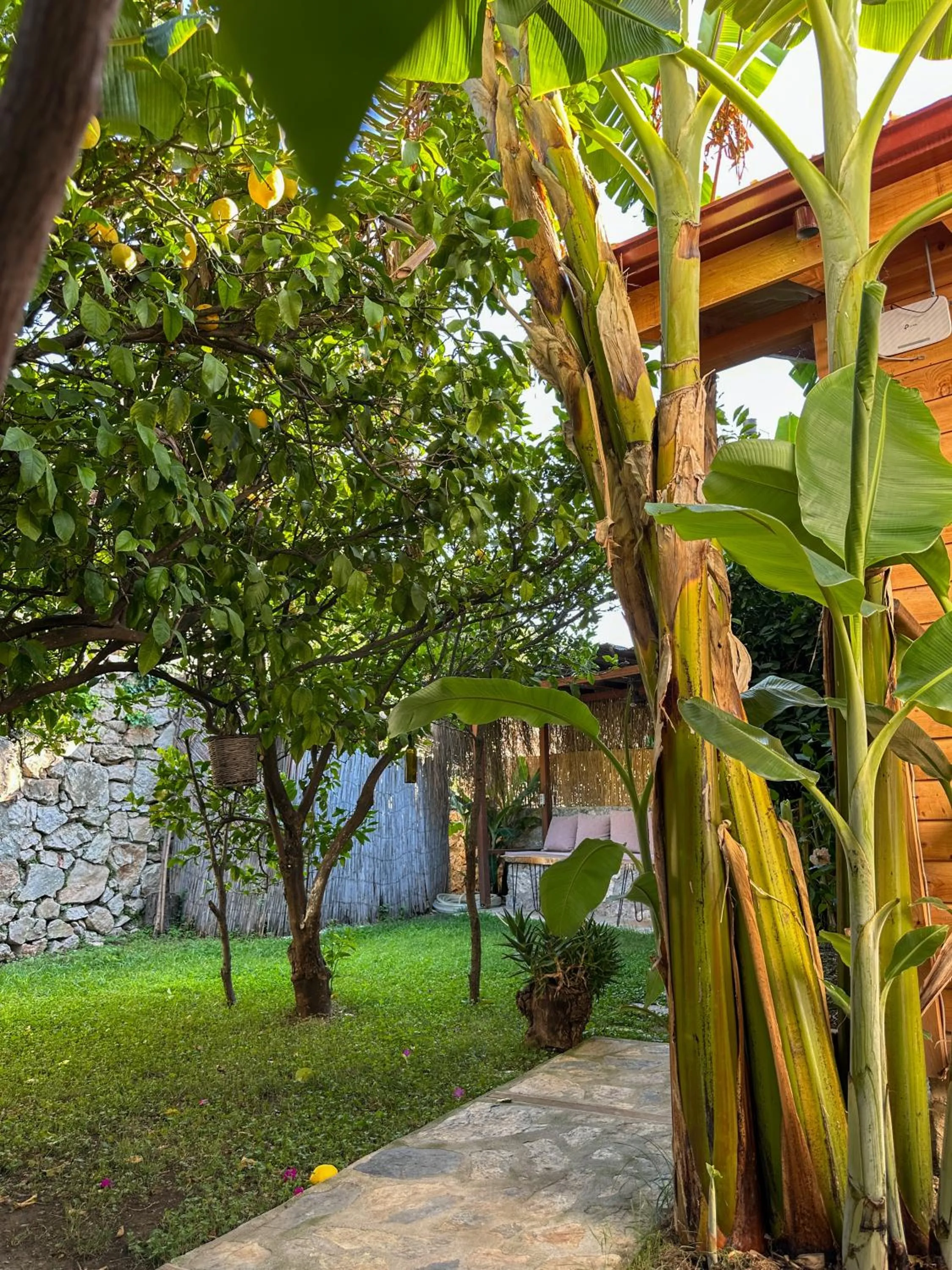 Garden in Faralya Misafir Evi