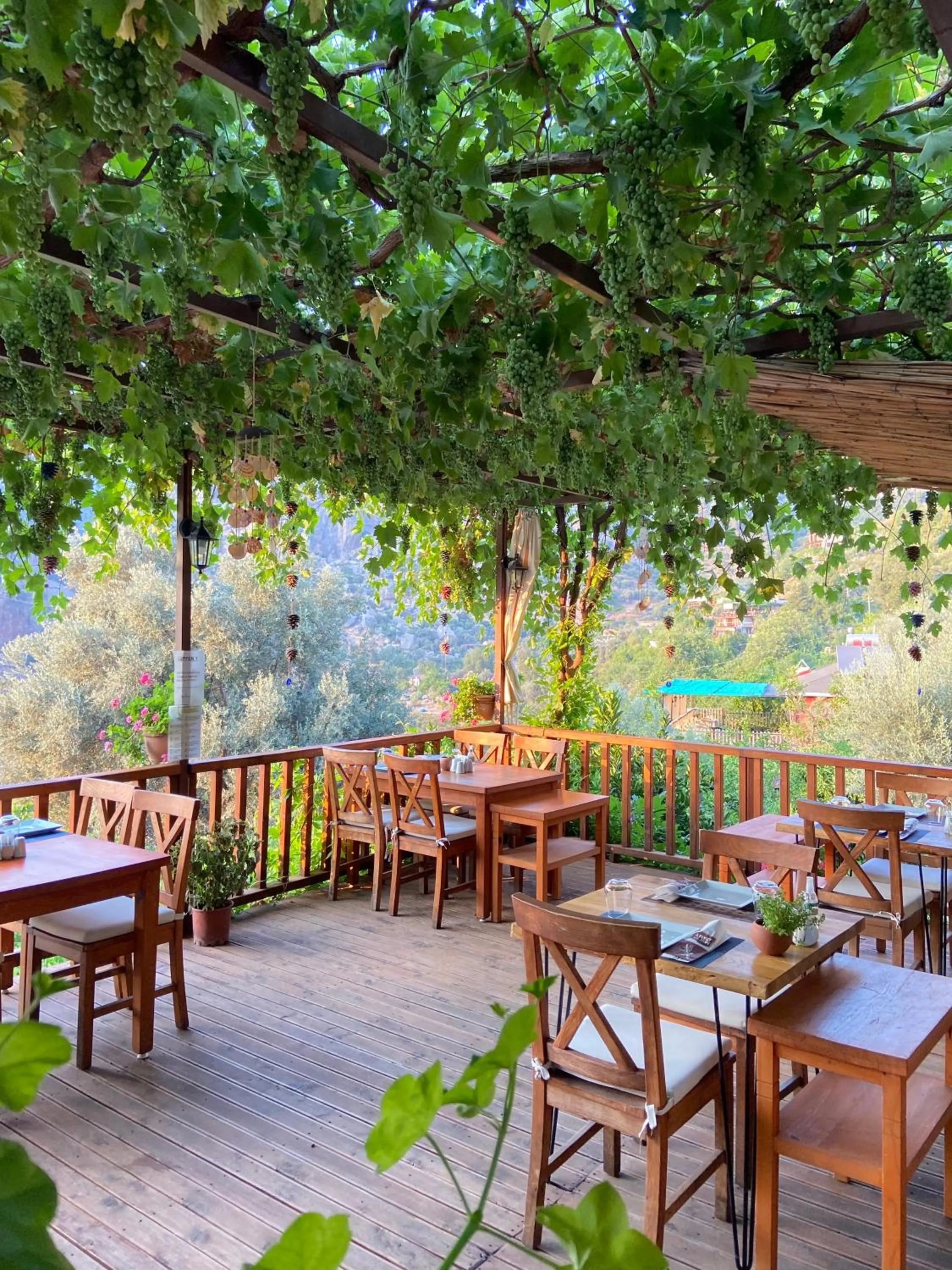 Restaurant/places to eat in Faralya Misafir Evi