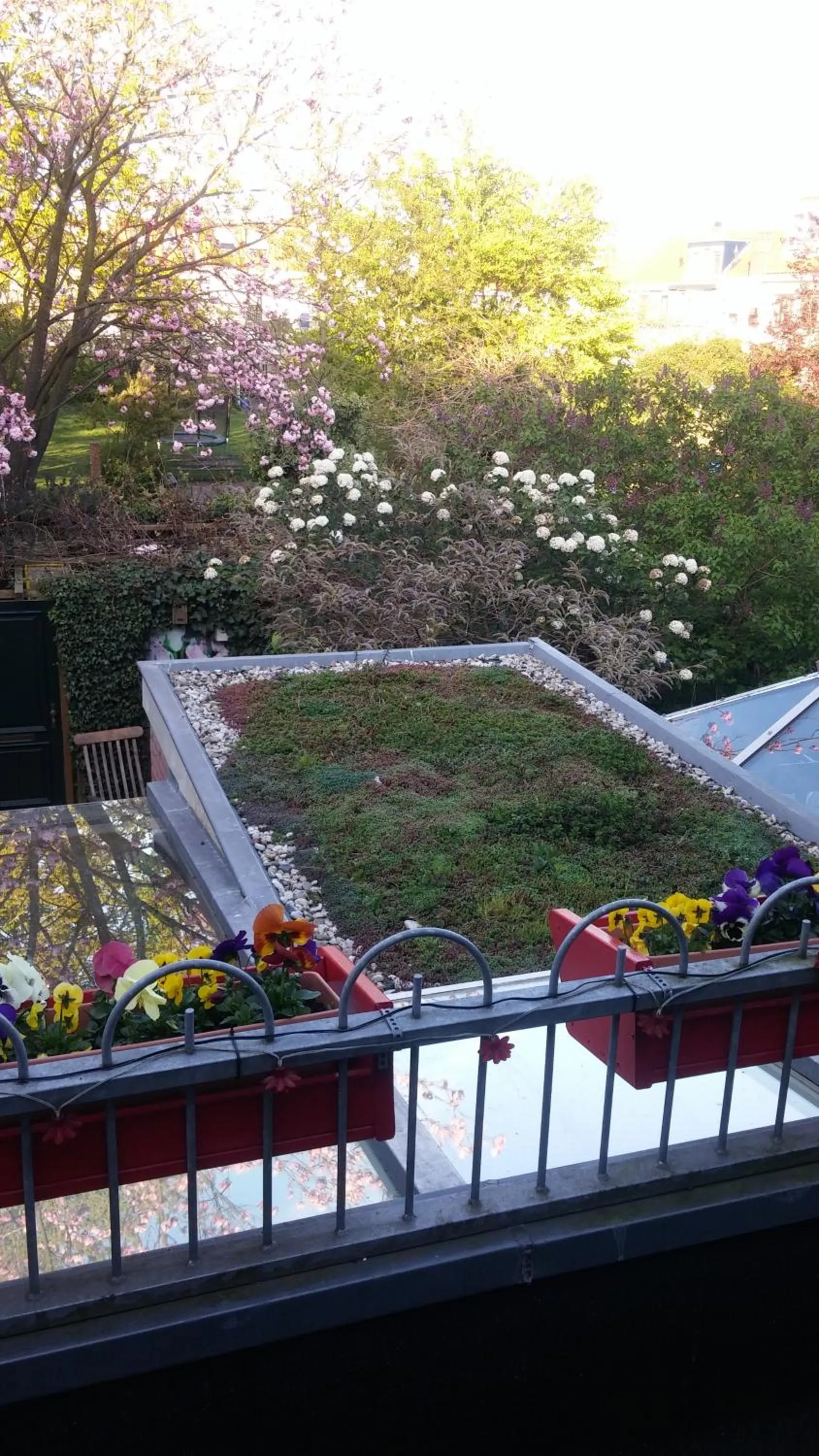 Neighbourhood in Bed en Broodje Bloem