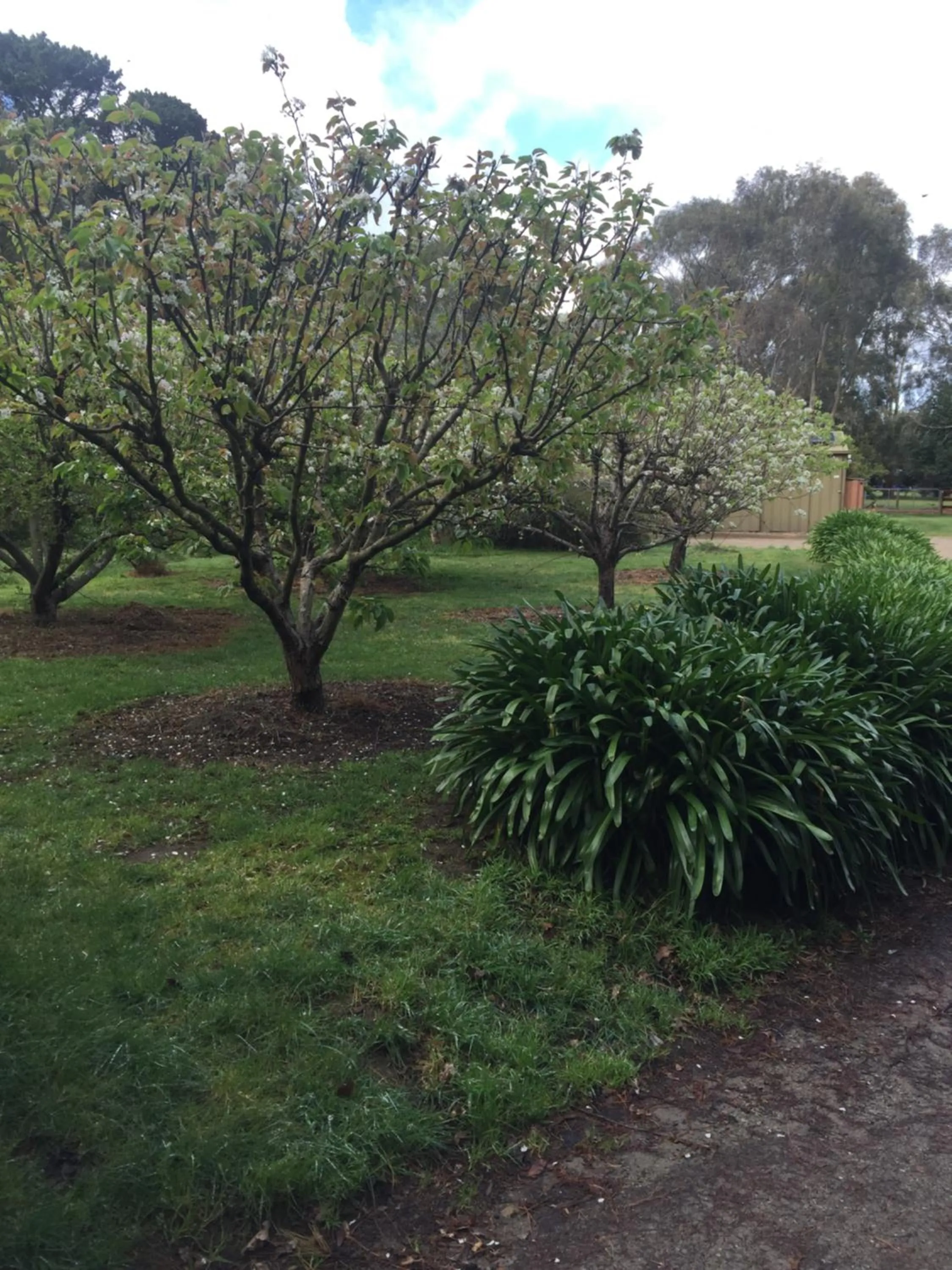 Garden in Sherwood Park bed and breakfast