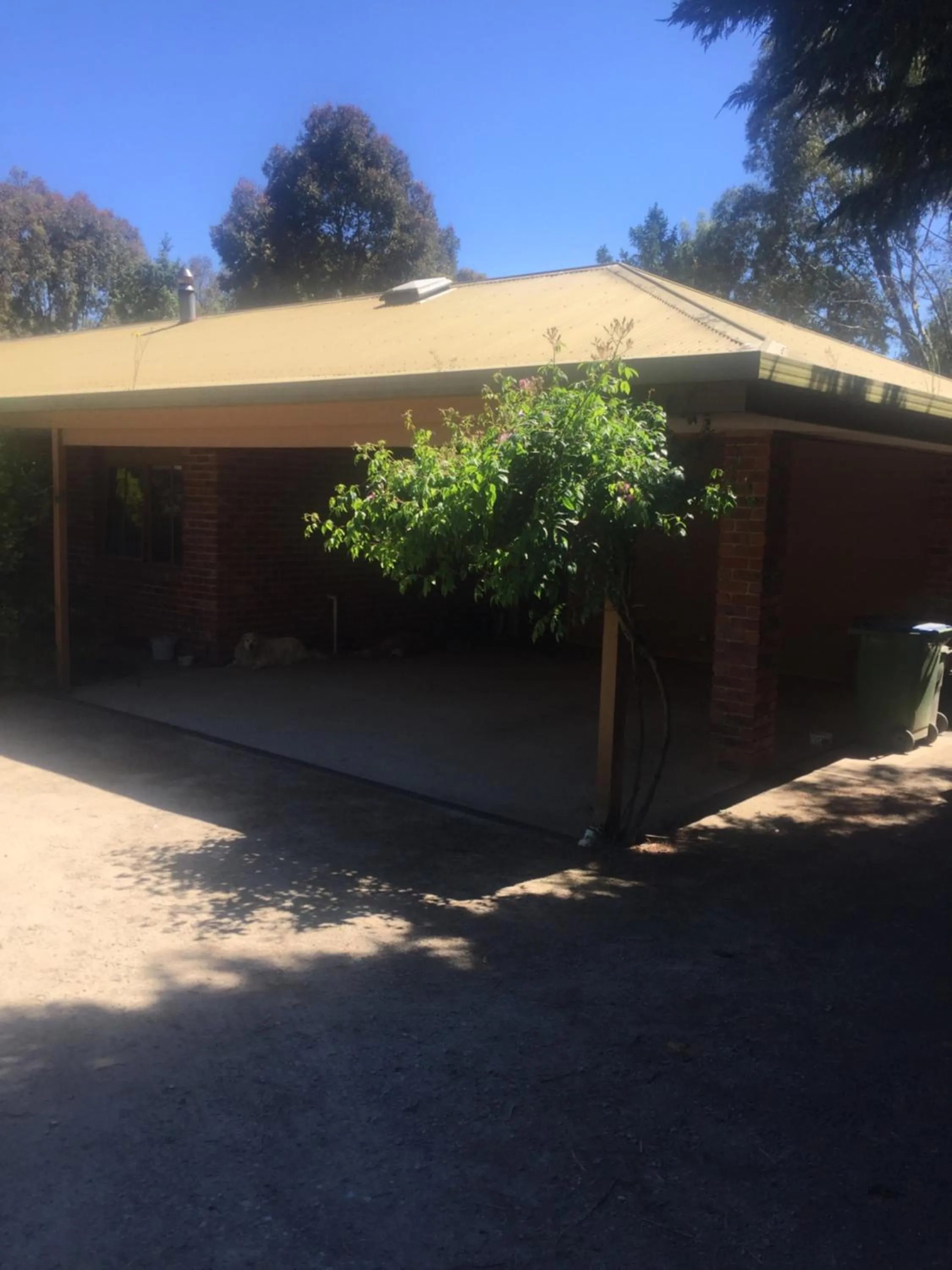 Area and facilities in Sherwood Park bed and breakfast