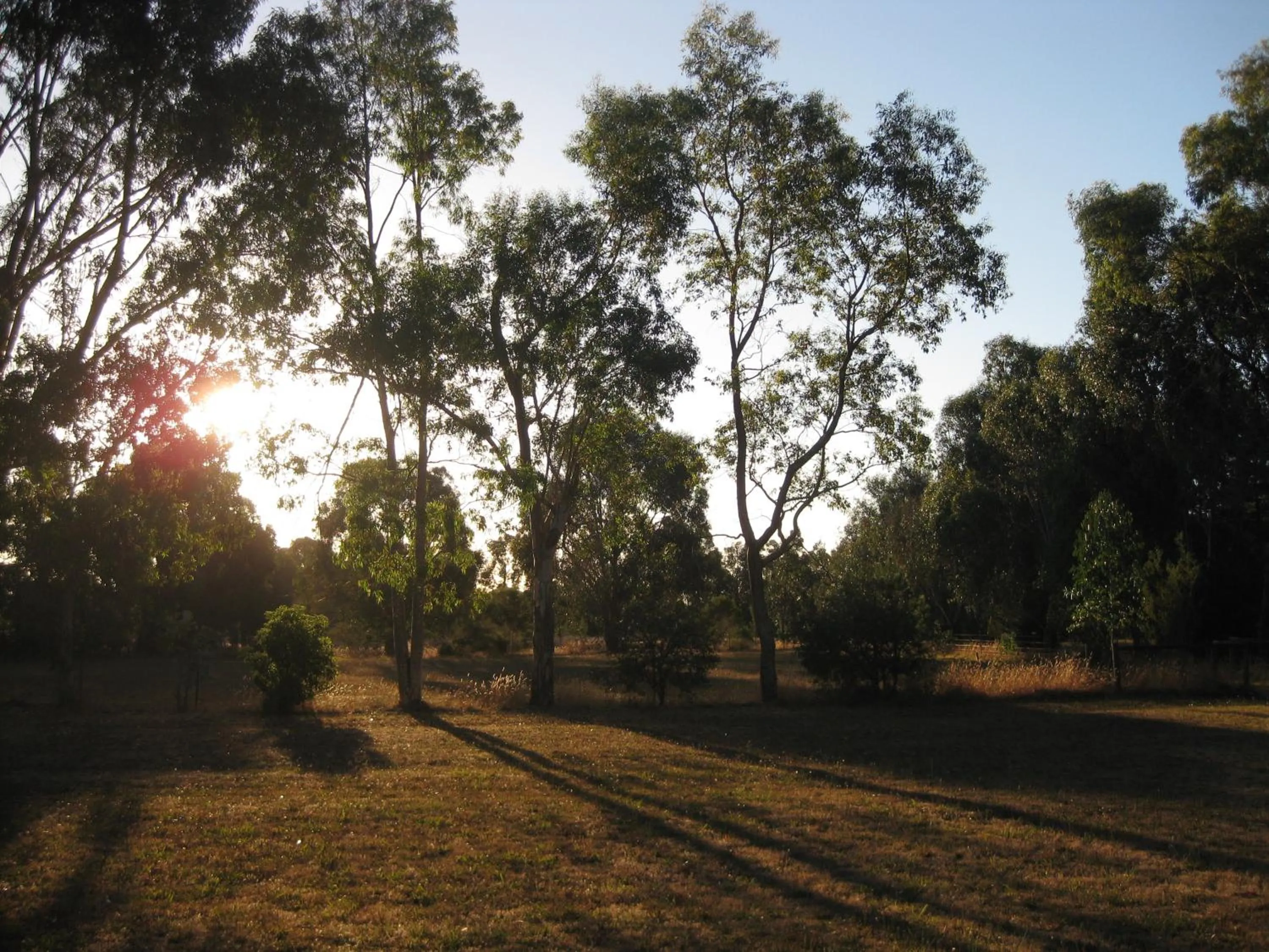 Garden in Sherwood Park bed and breakfast