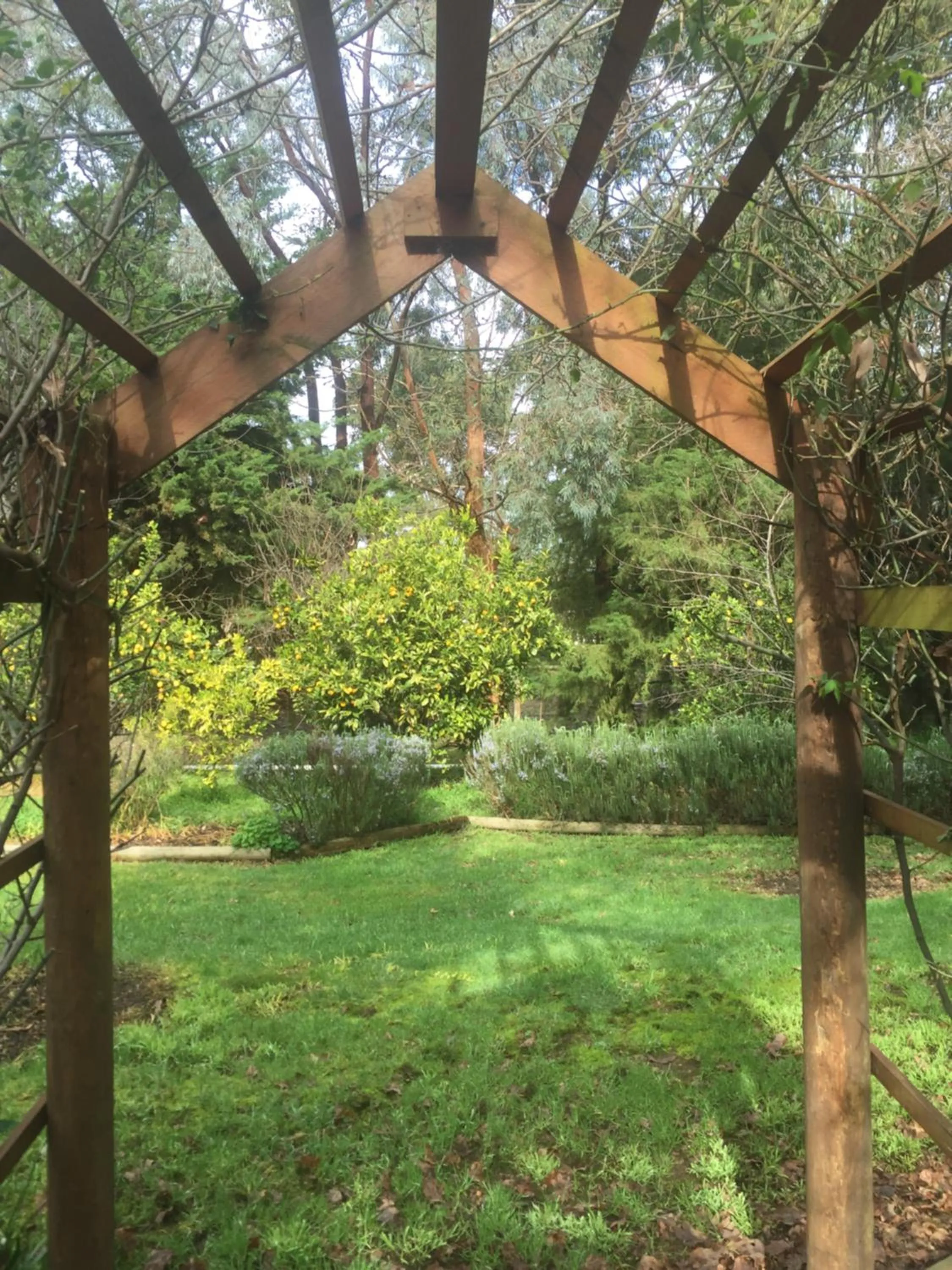 Garden in Sherwood Park bed and breakfast