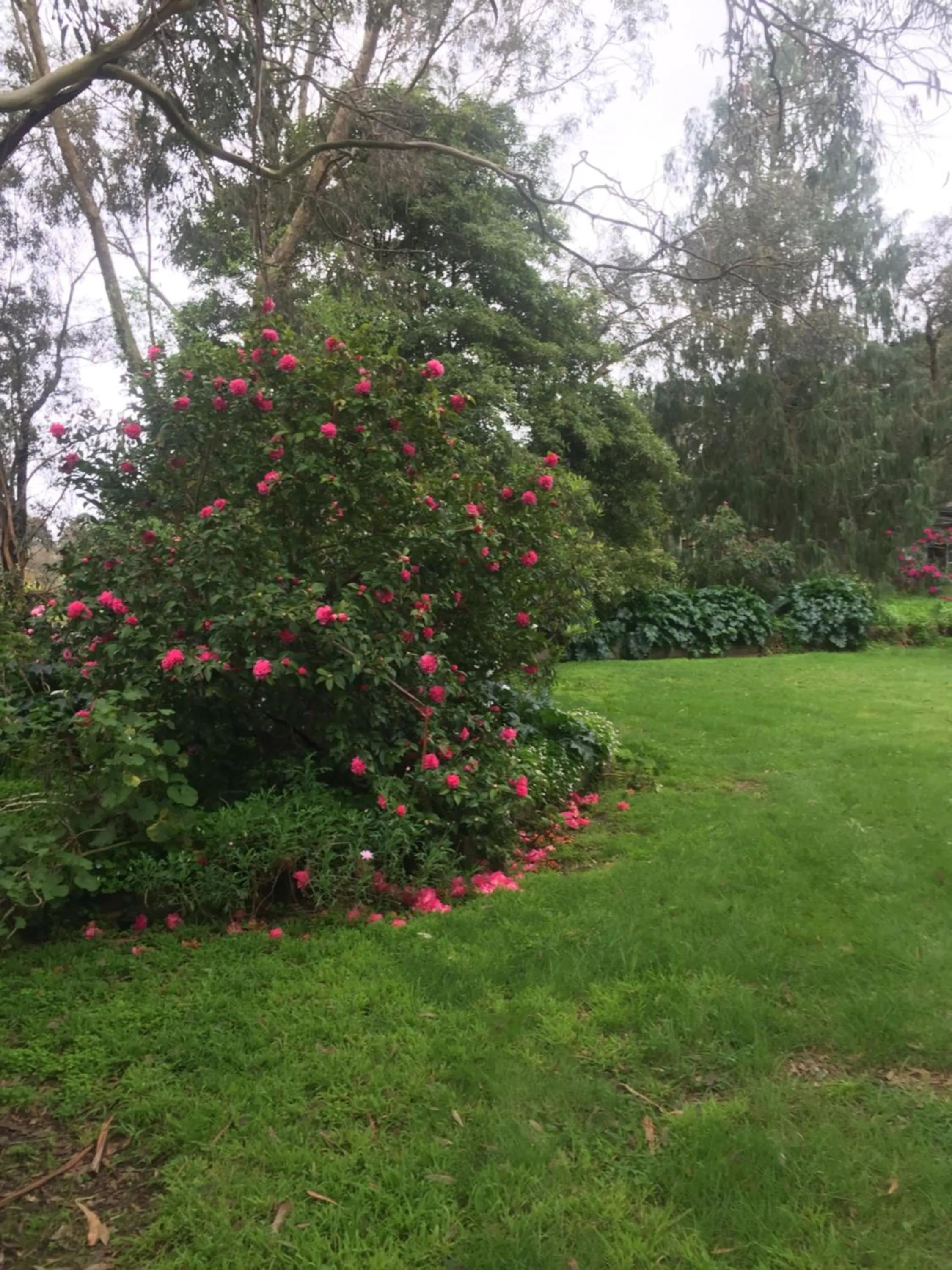 Garden in Sherwood Park bed and breakfast