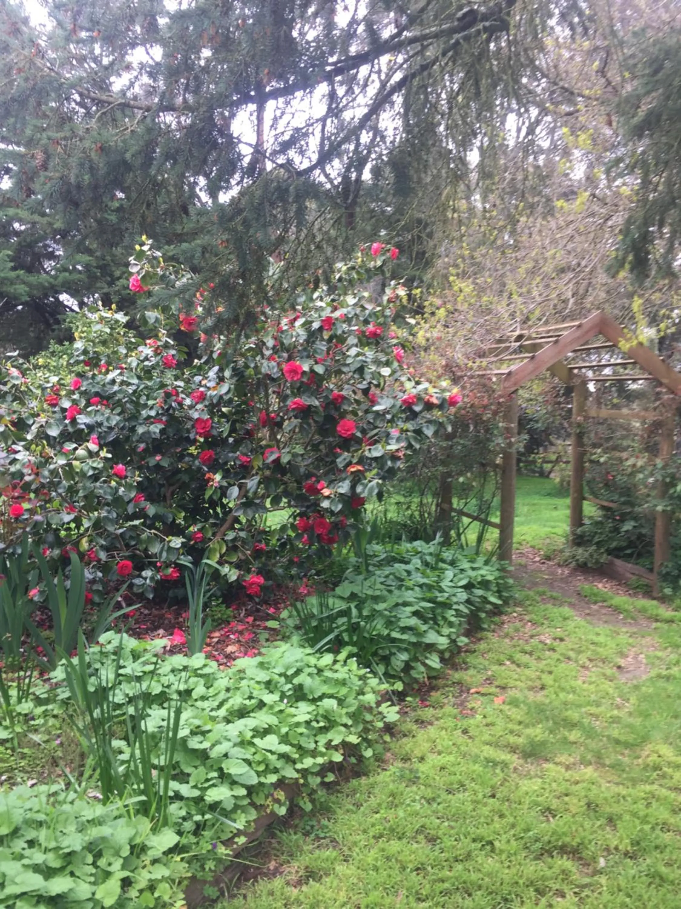 Garden in Sherwood Park bed and breakfast