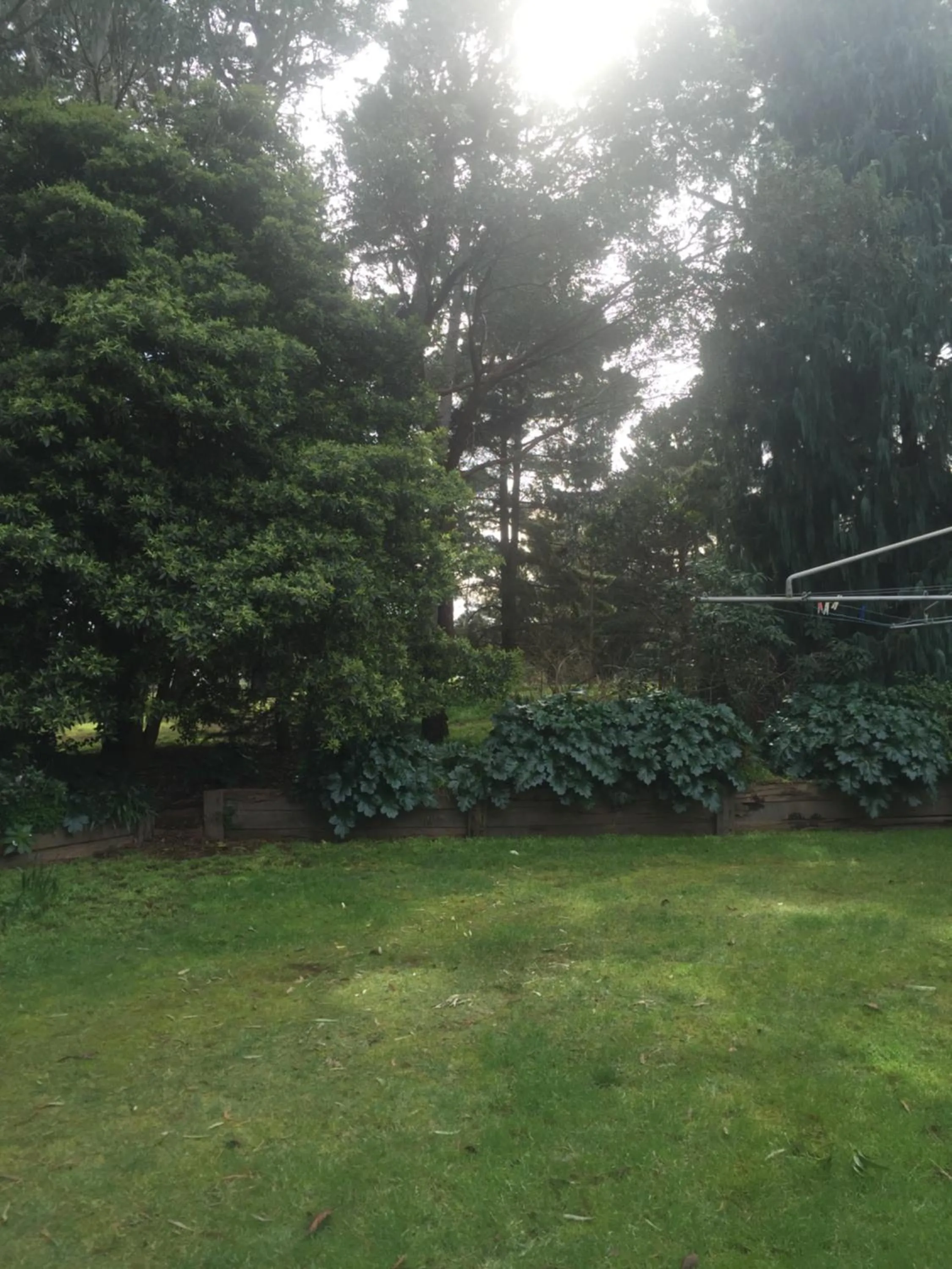 Garden in Sherwood Park bed and breakfast