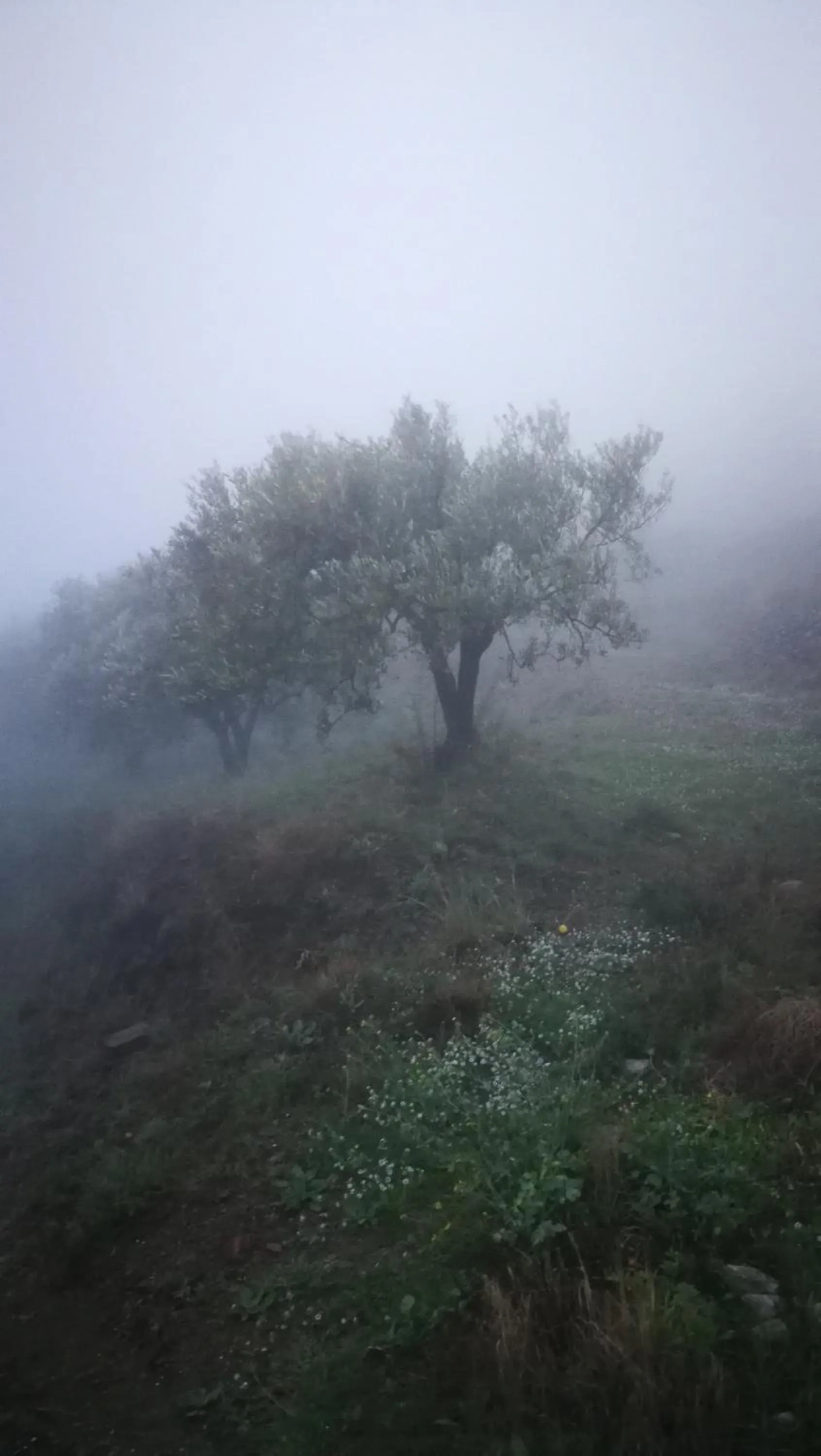 Casa del Cielo