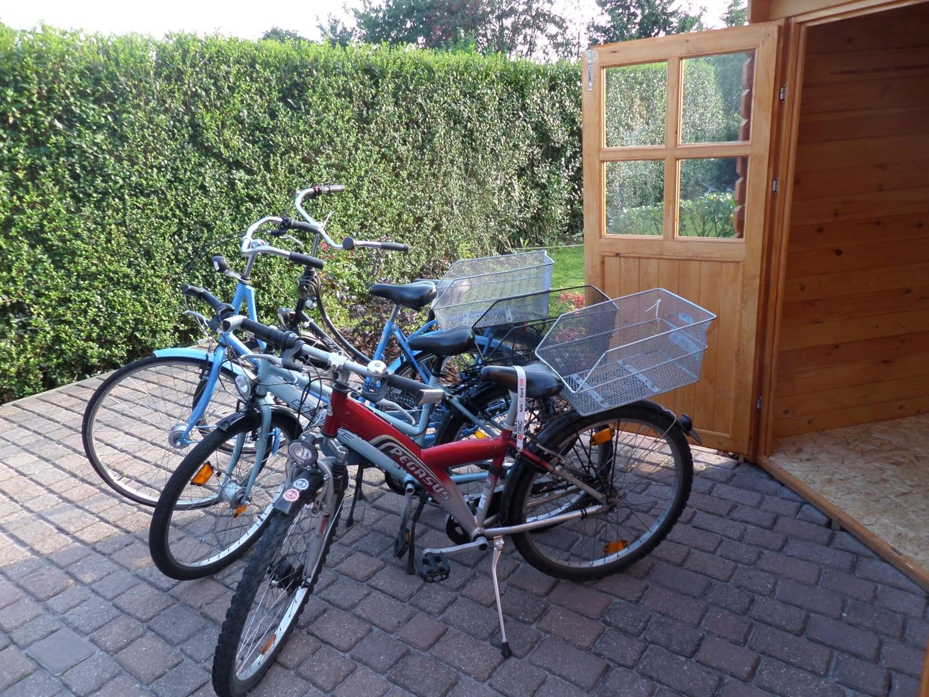Cycling in Ferienwohnung Baumann