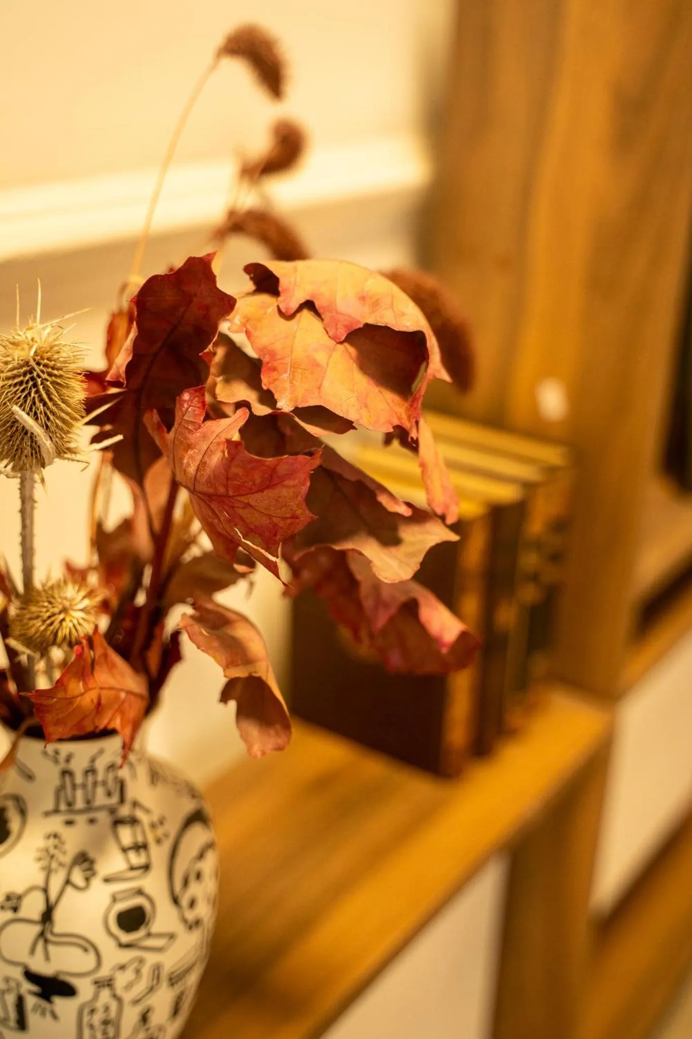 Hôtel d'Angleterre, Salon-de-Provence
