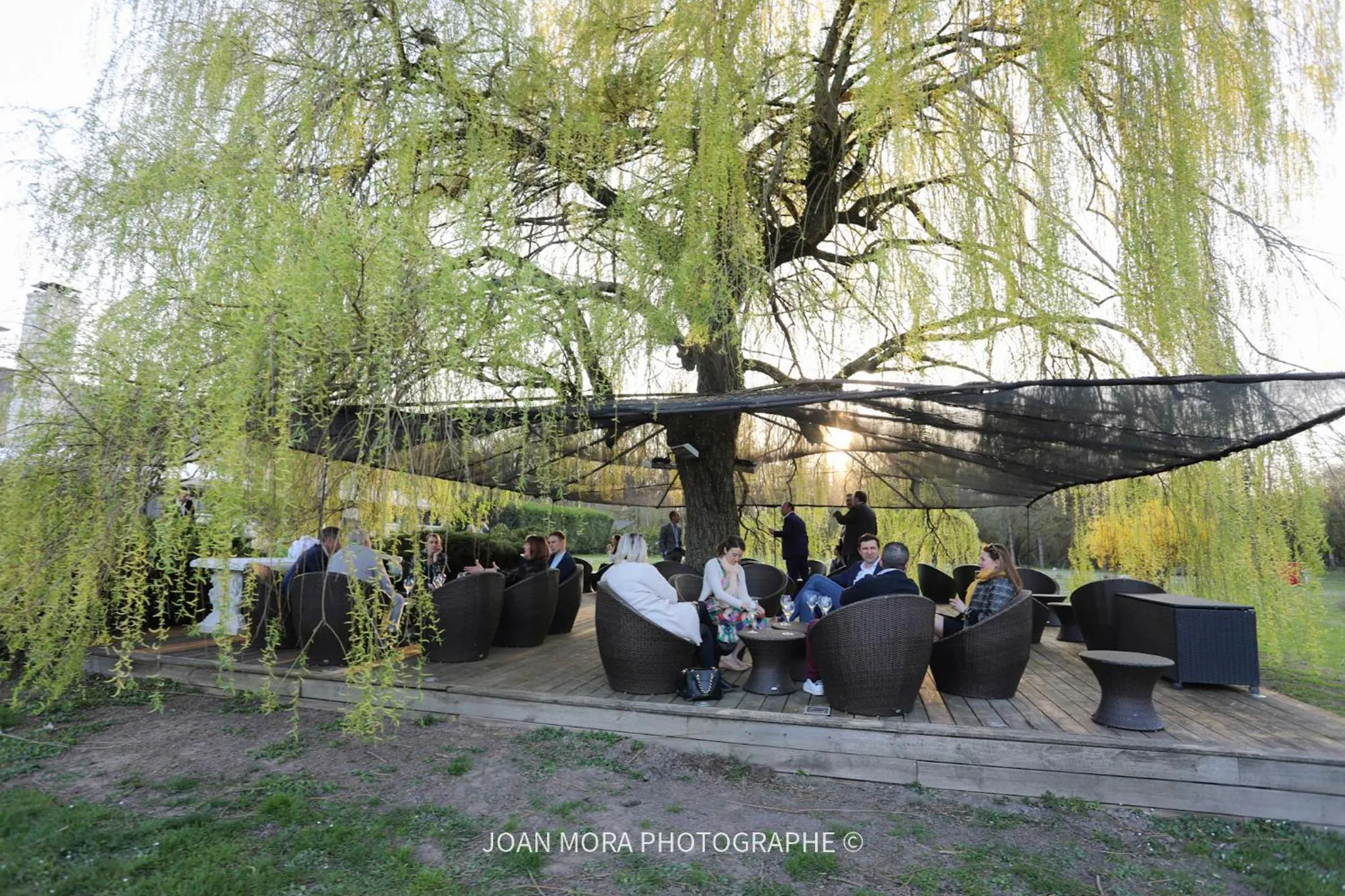 Garden in Domaine De Barive