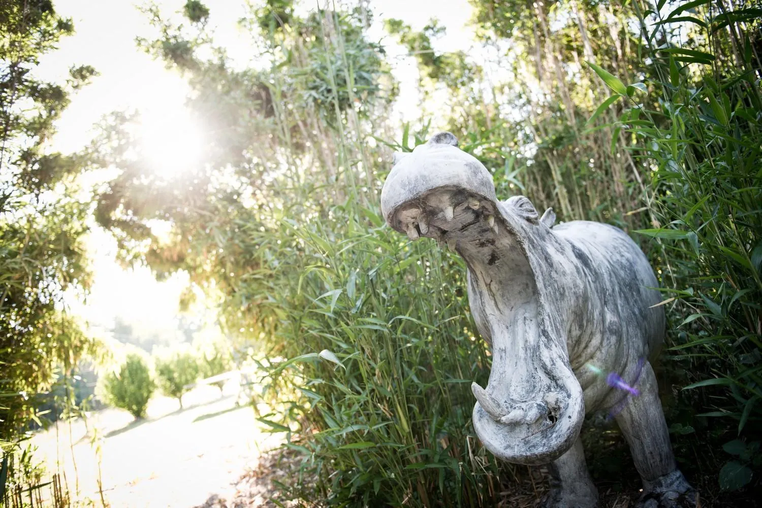 Garden in Domaine De Barive