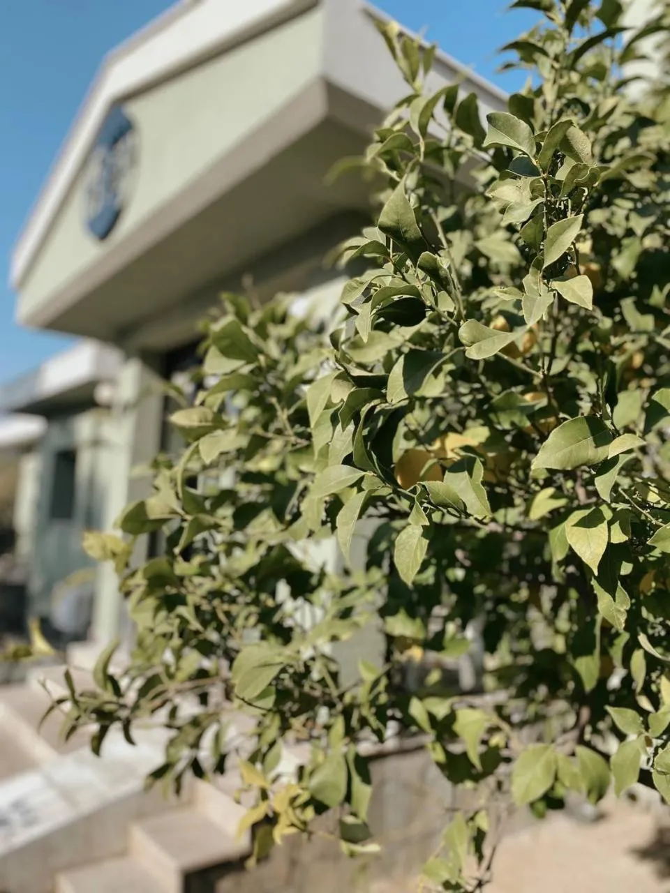 Property building in Belizi Hotel