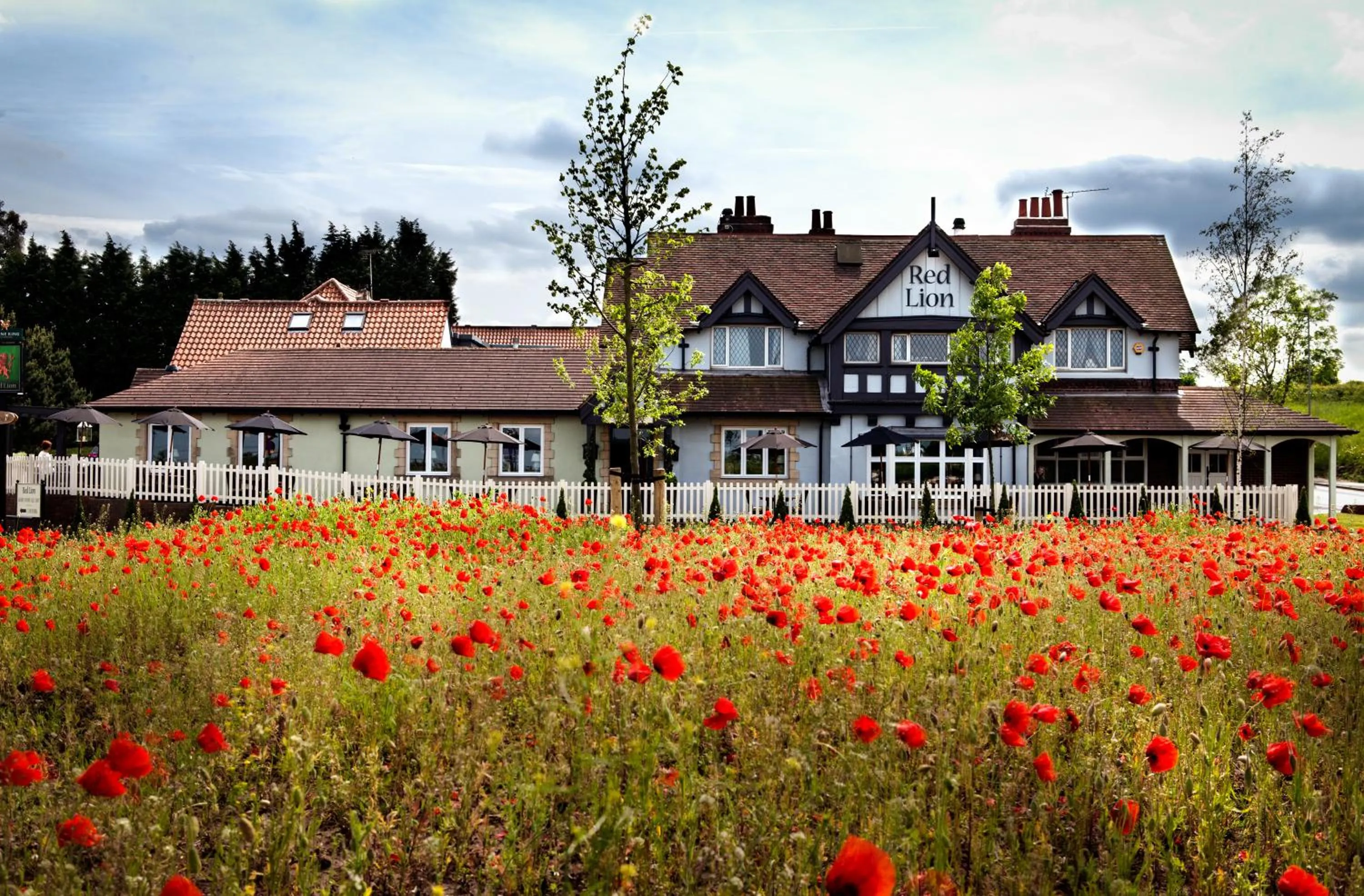 Facade/entrance in The Red Lion Inn by Chef & Brewer Collection