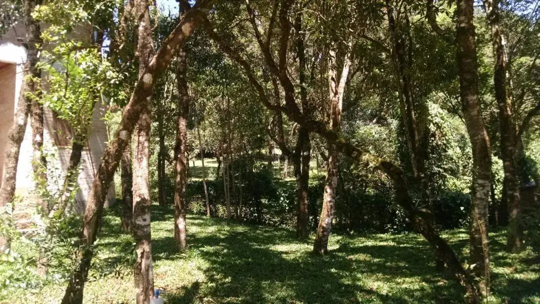Frio em Monte Verde Frio em Monte Verde