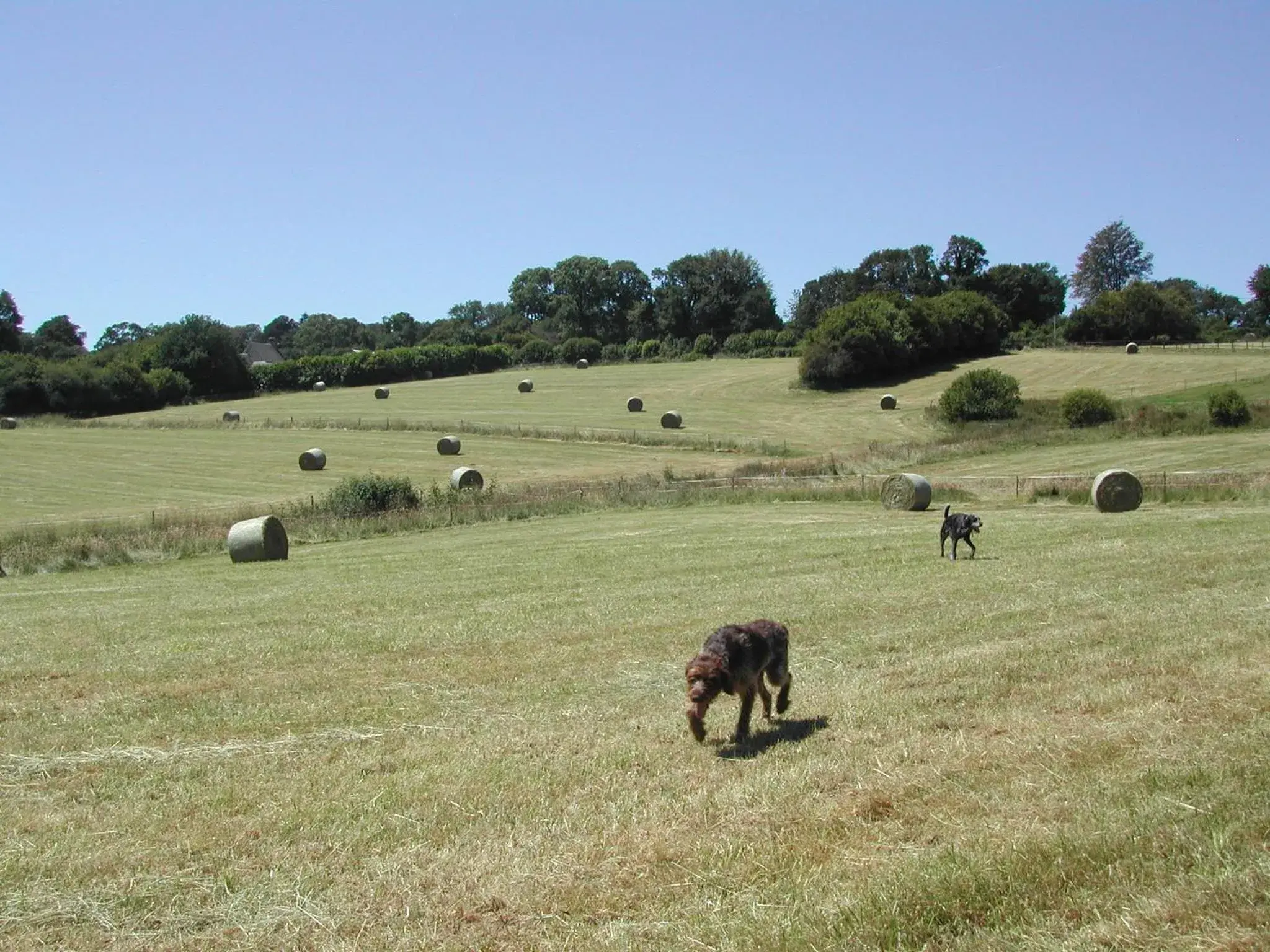 L'Auvraire B&B L'Auvraire B&B