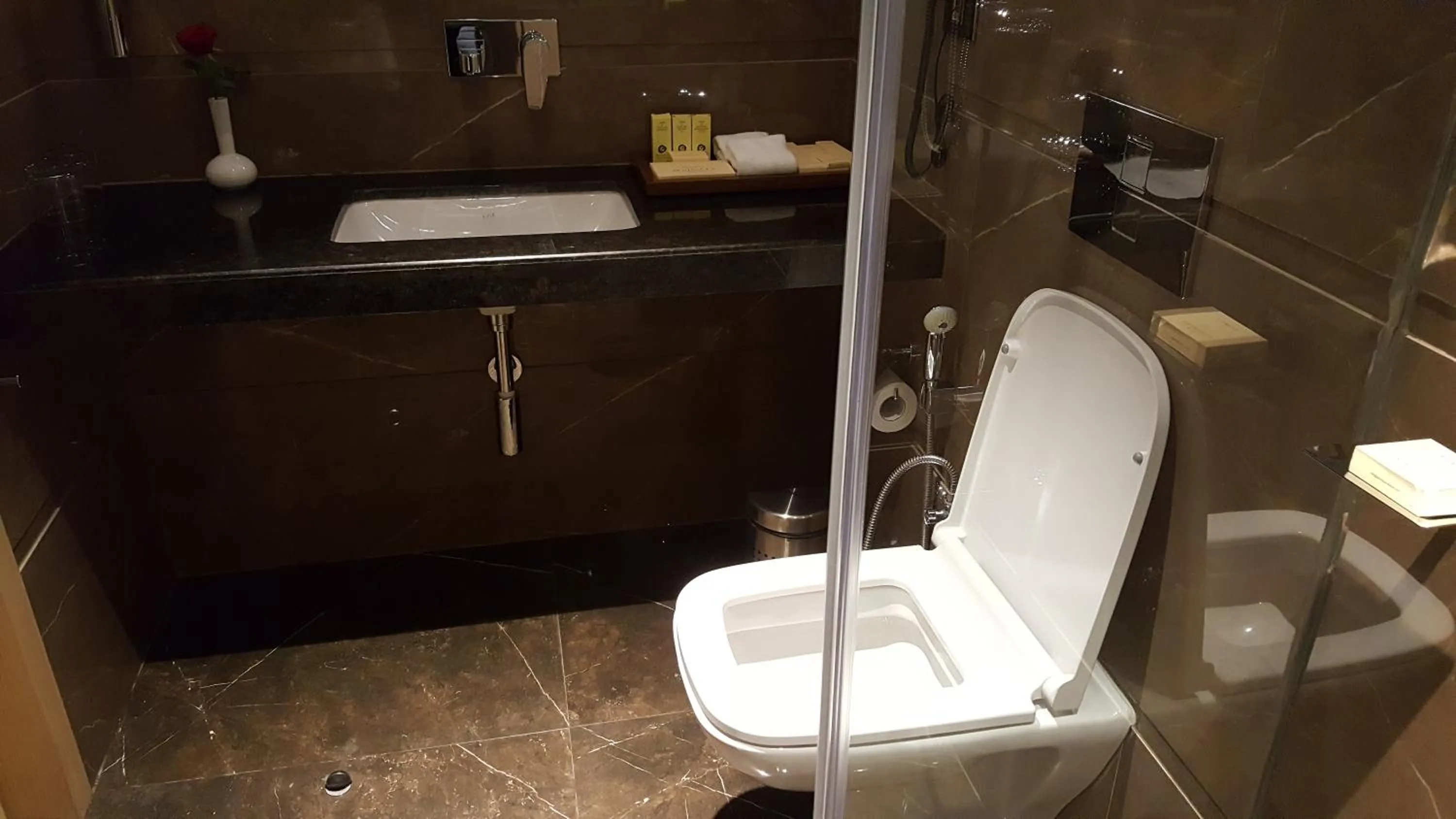 Toilet in Hotel Peninsula Redpine