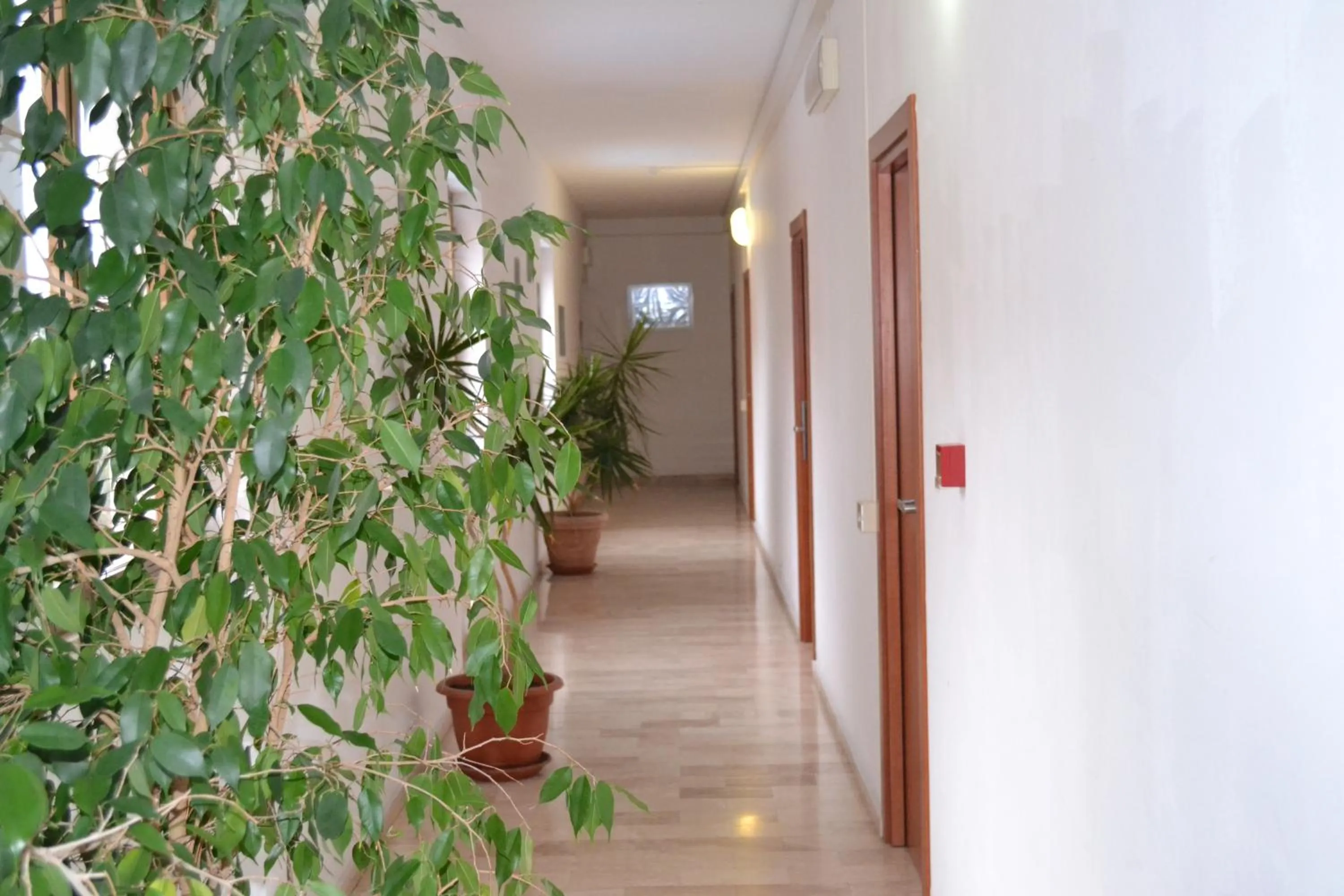 Other in Hotel Citti