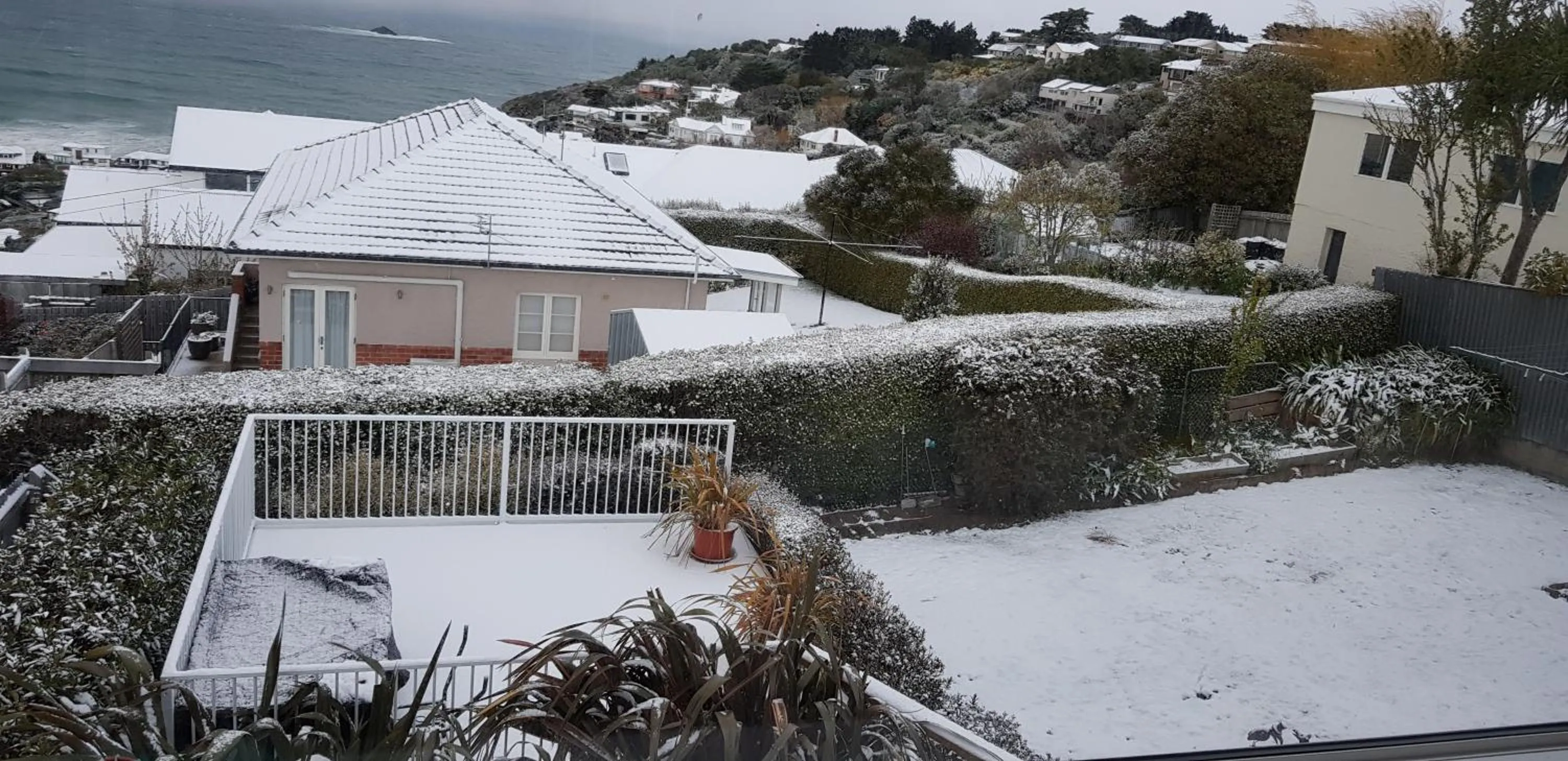 Garden view in Rosemount B&B by the Sea St Clair