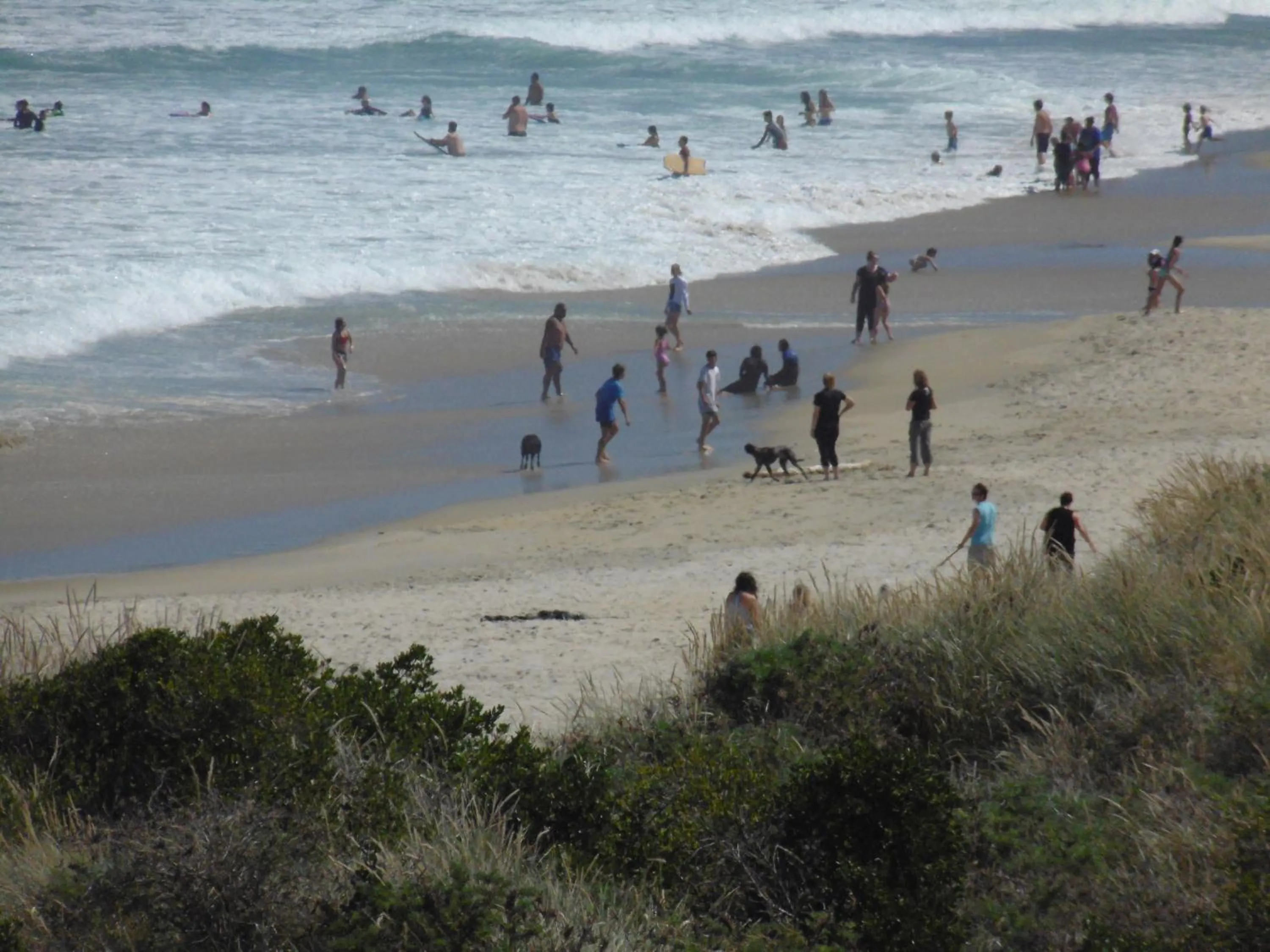 Beach in Rosemount B&B by the Sea St Clair