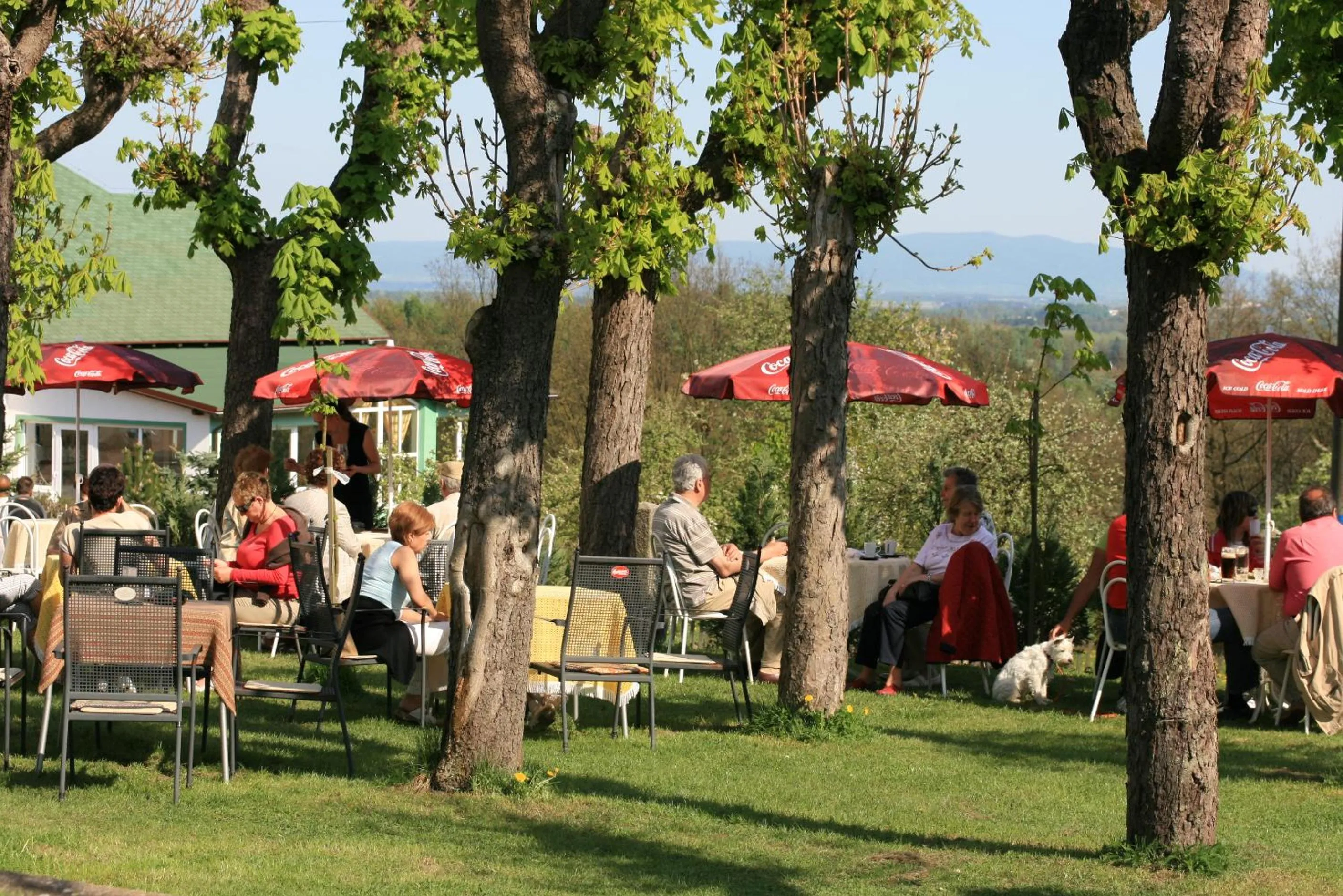 Restaurant/places to eat in Seeberg