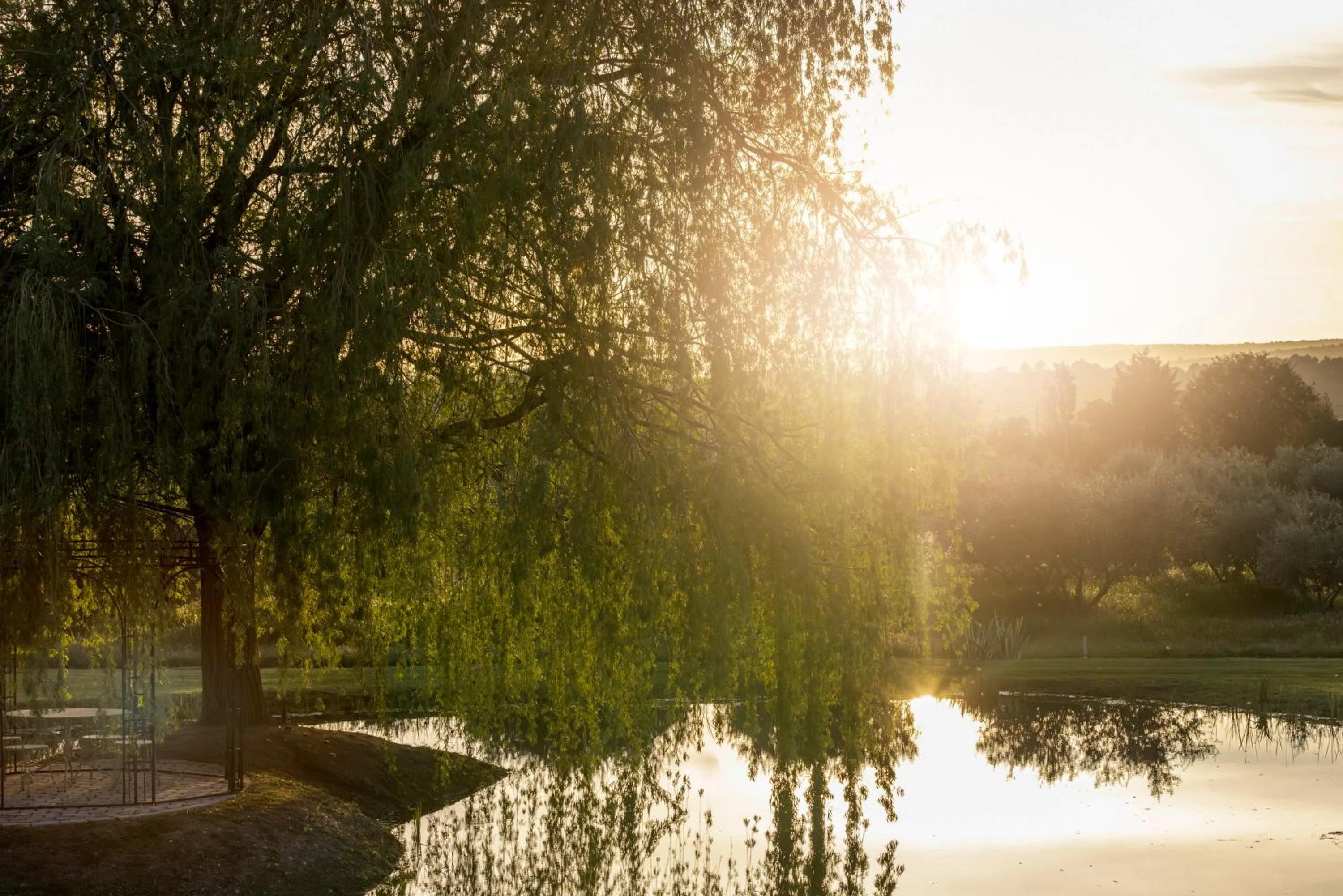 Day in Domaine des Andéols