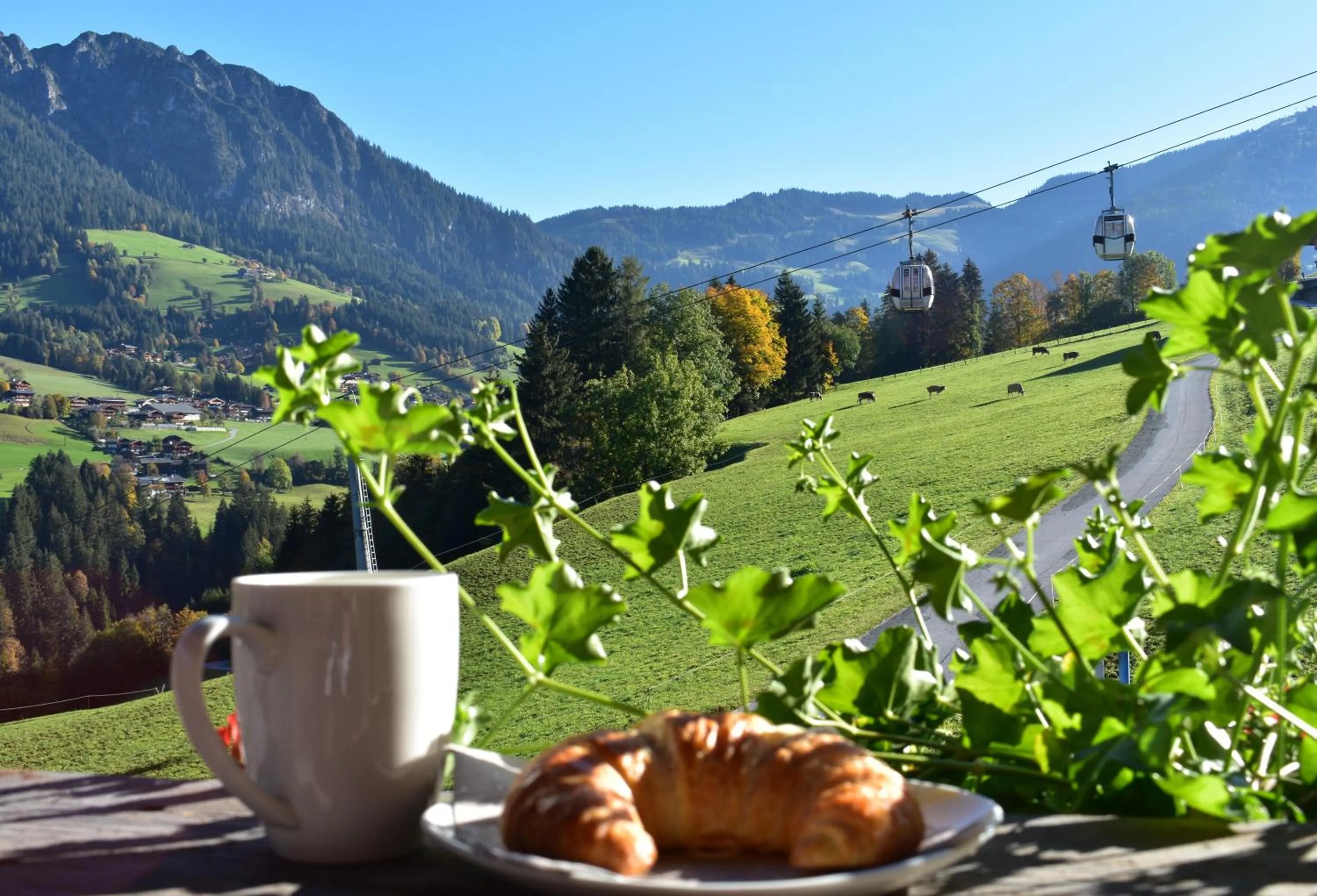 View (from property/room) in Appartements Kolberhof