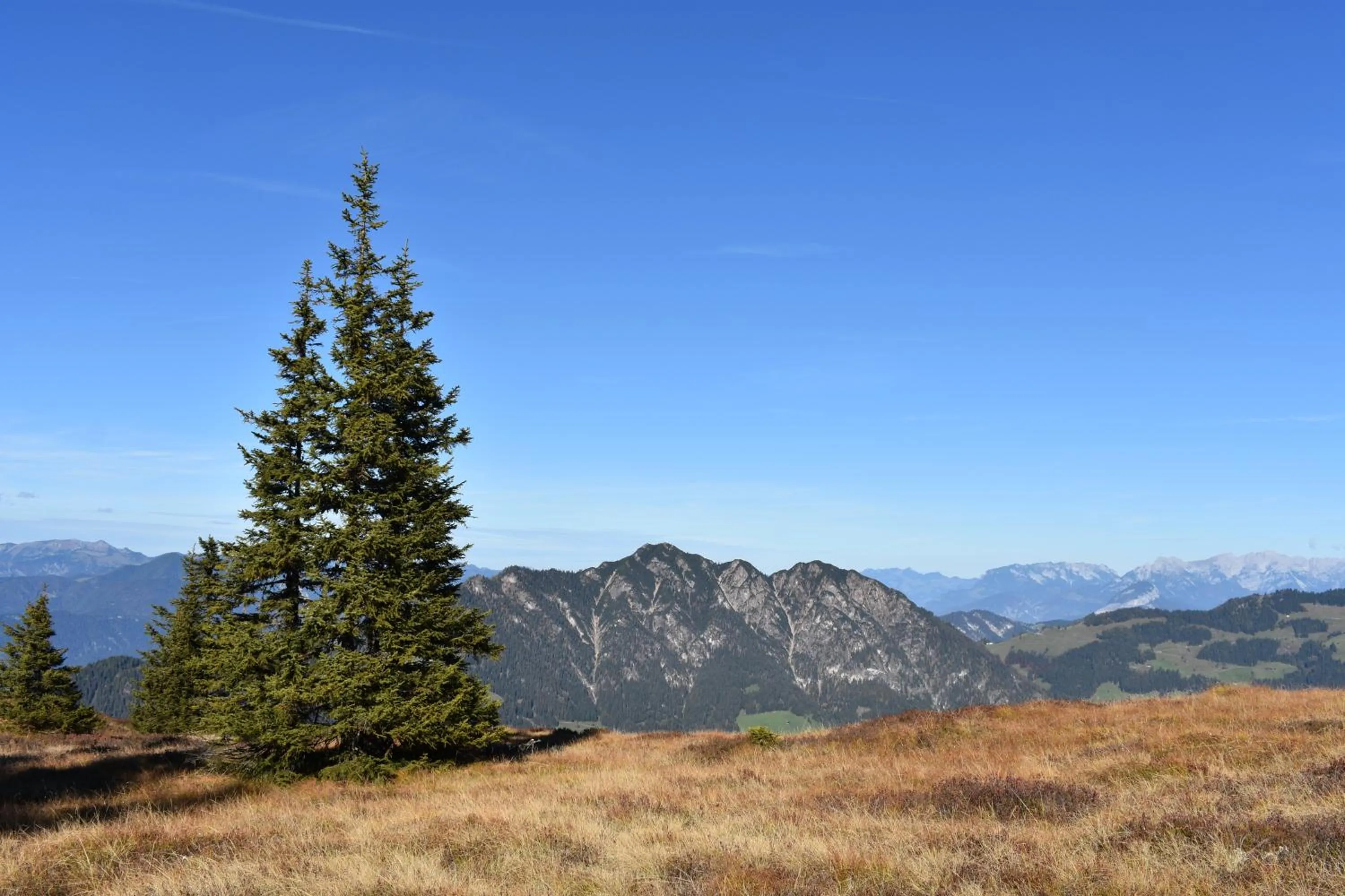 Hiking in Appartements Kolberhof