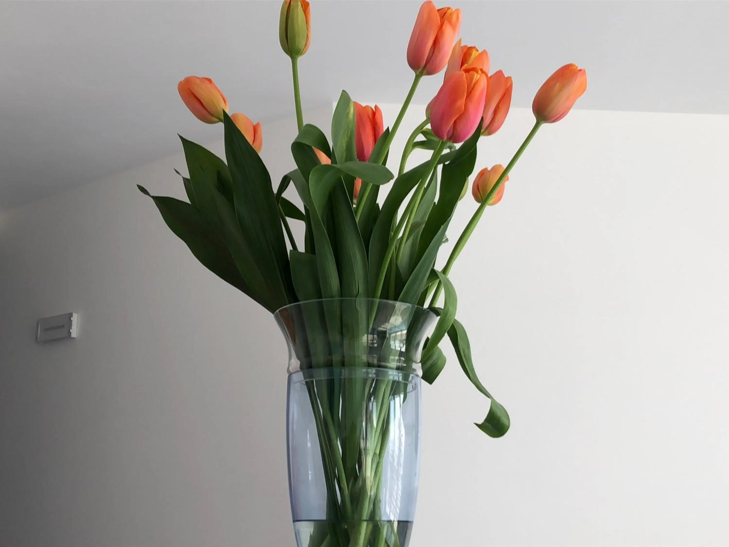 Lobby or reception in Hotel Corallo Circeo