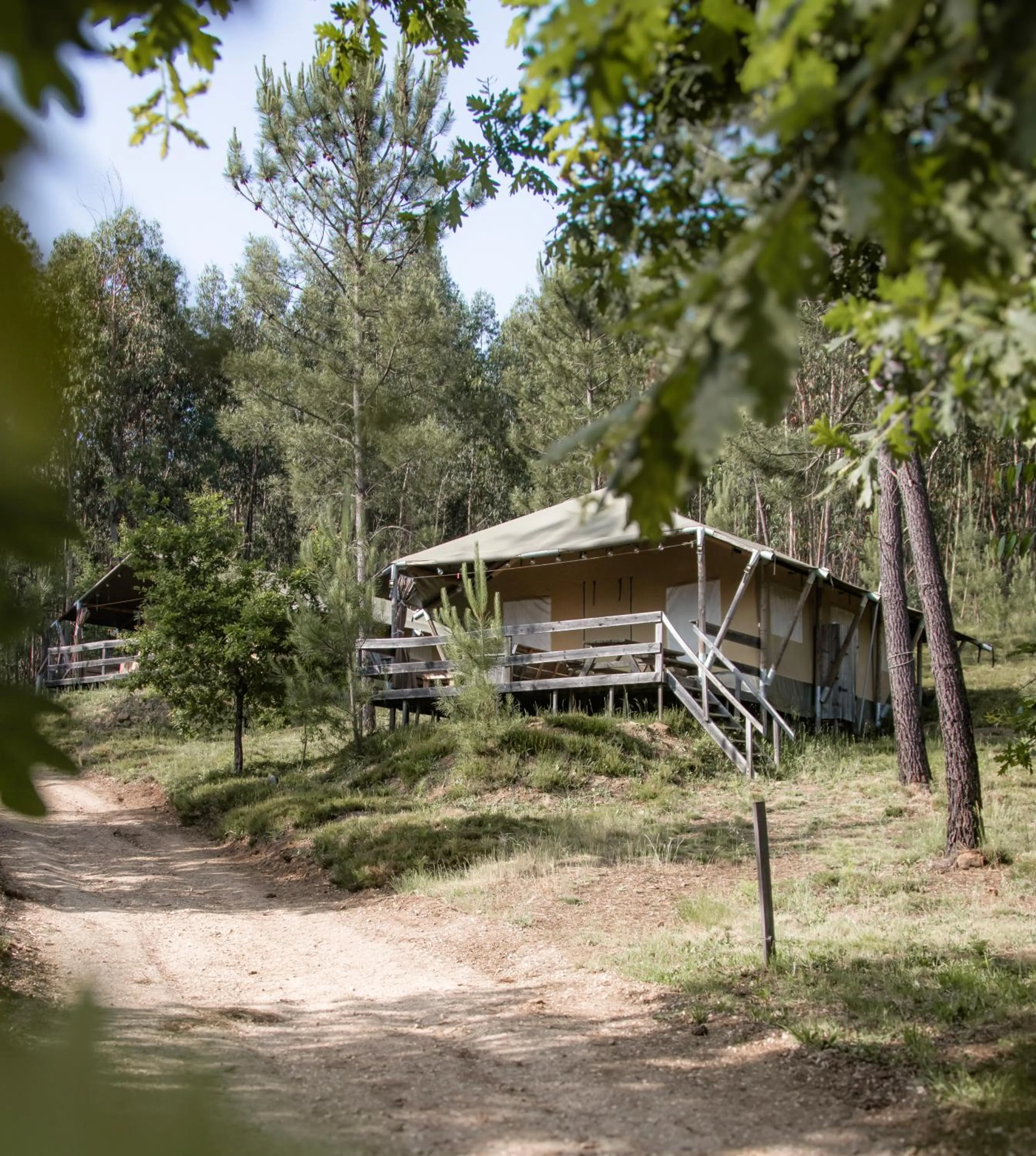 Quinta do Castanheiro