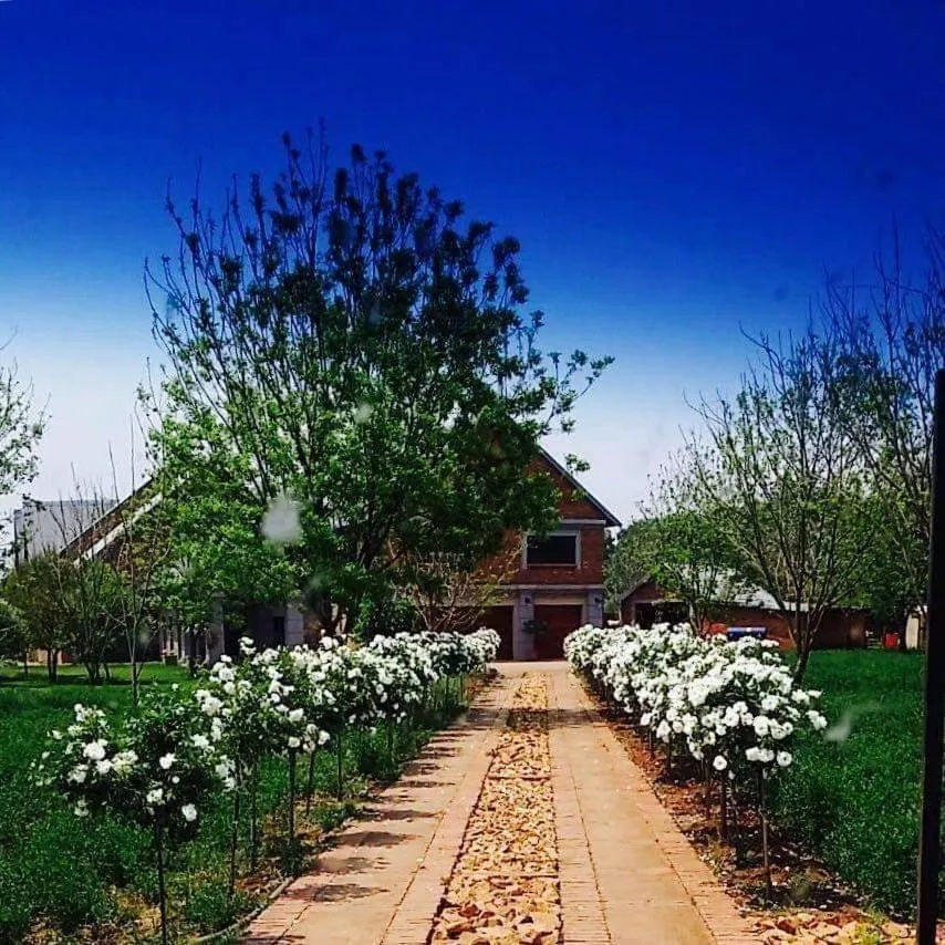Street view in Millstream Inn guest house