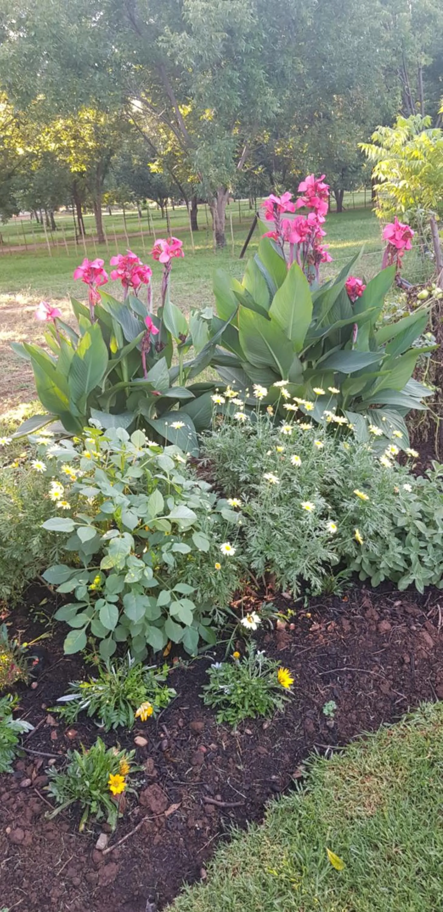 Garden in Millstream Inn guest house