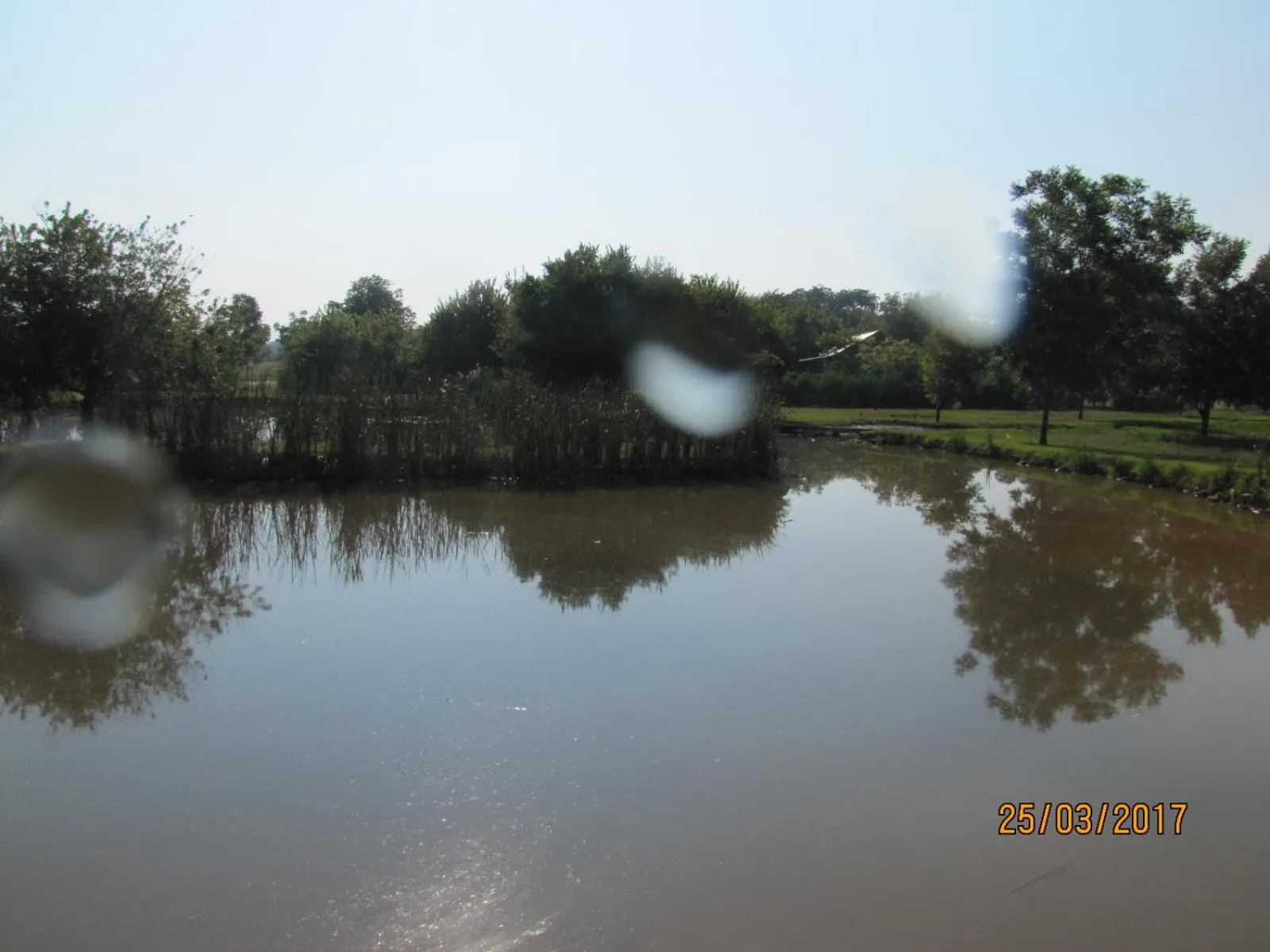 Lake view in Millstream Inn guest house