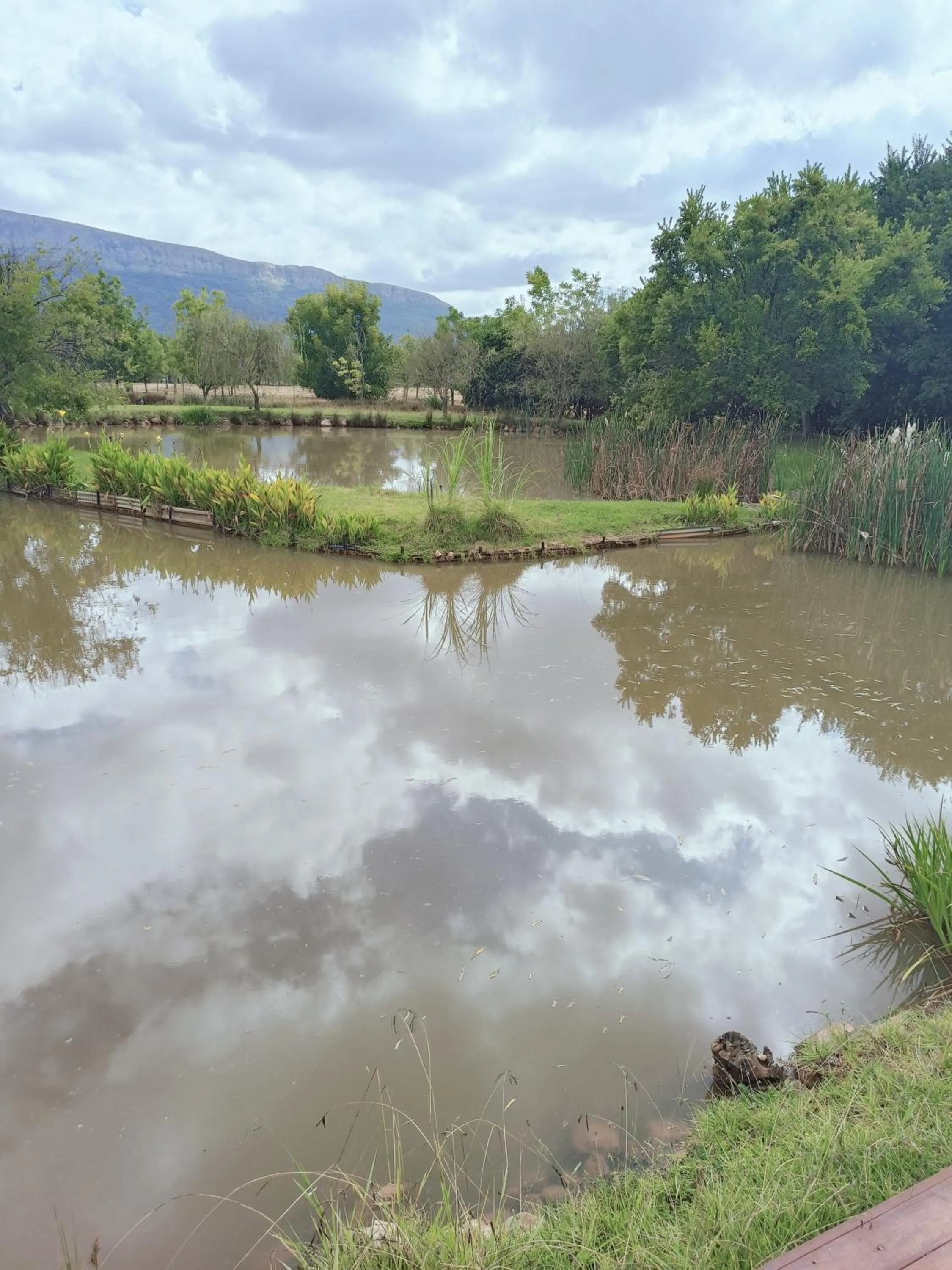 Millstream Inn guest house