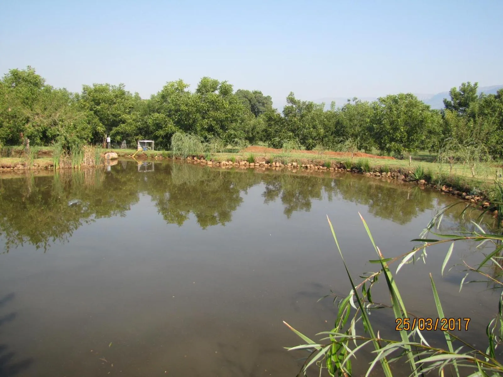 Garden view in Millstream Inn guest house