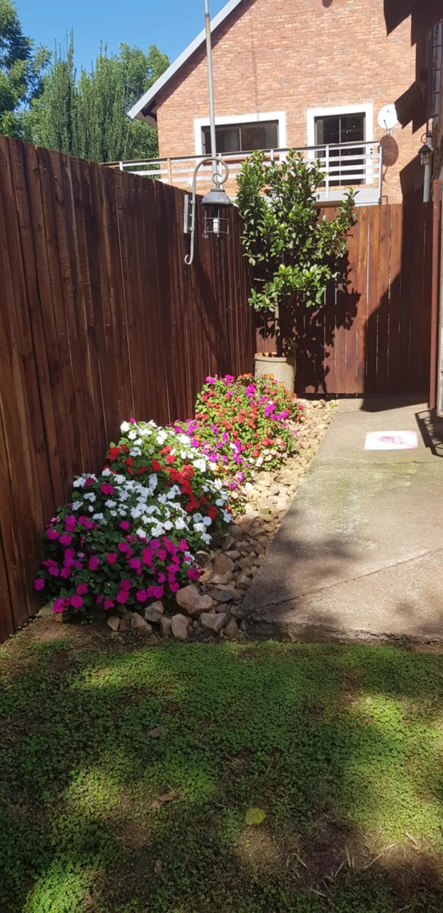 Garden in Millstream Inn guest house