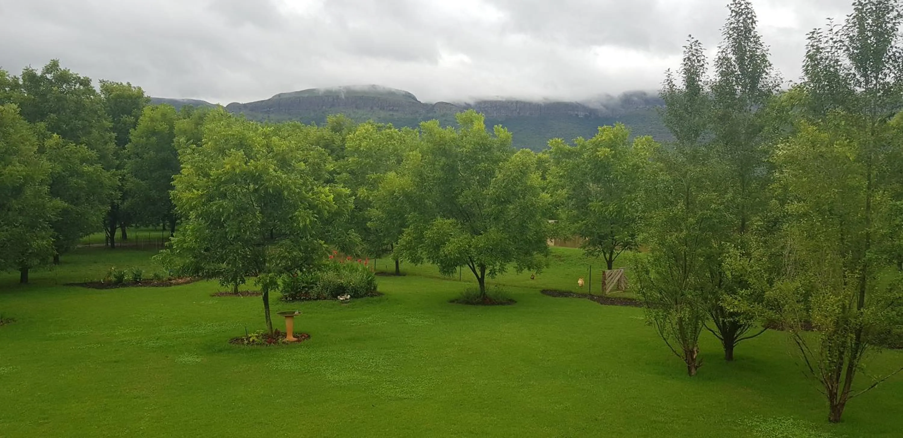 Garden in Millstream Inn guest house
